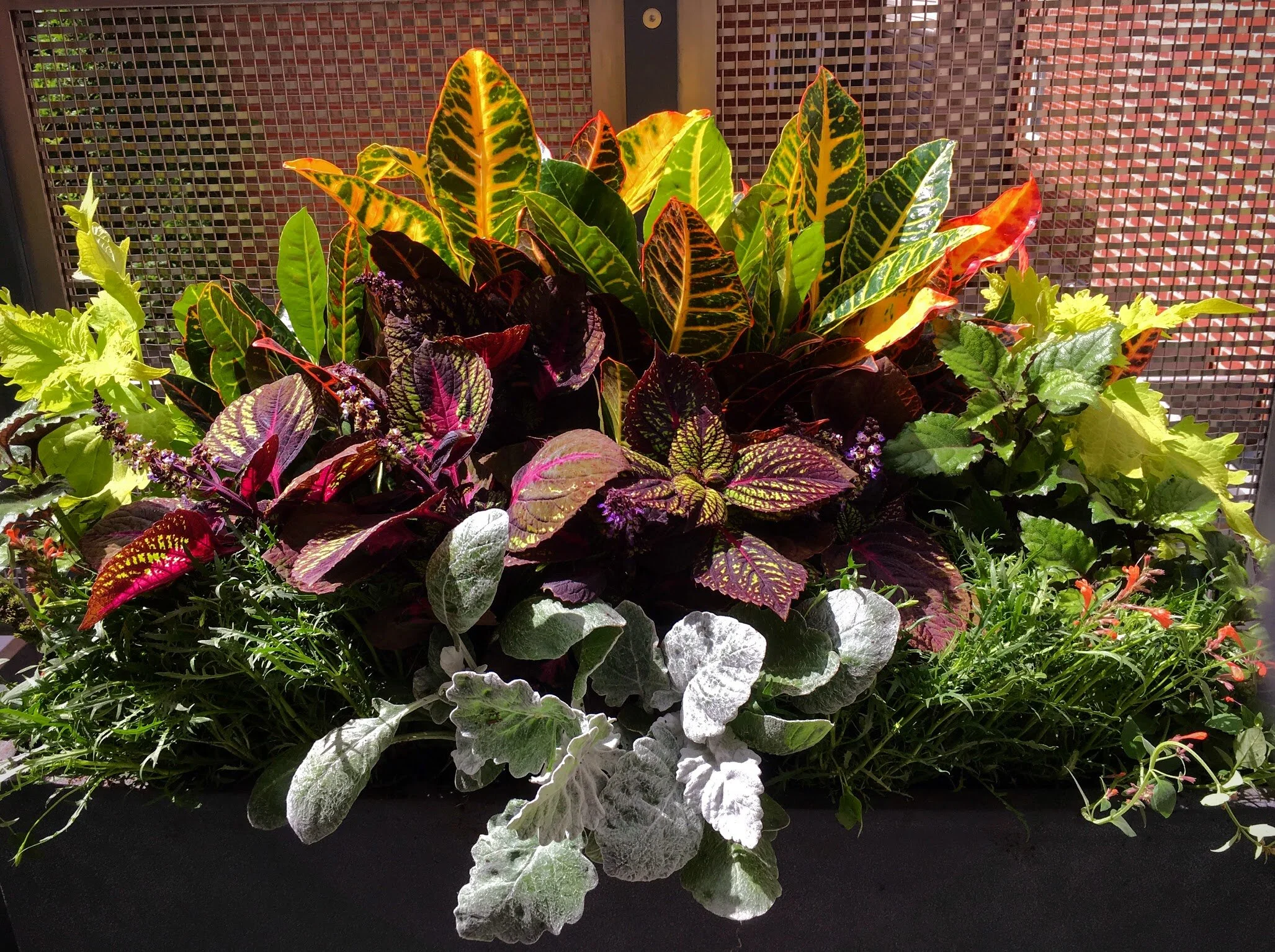 ROOTING ROOFS // PHILADELPHIA 2015