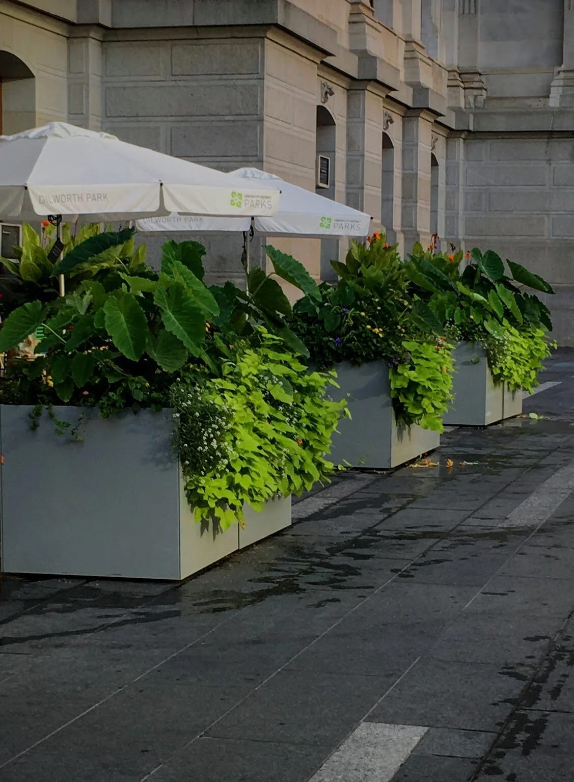 COMMUNITY SPACE // PHILADELPHIA 2015