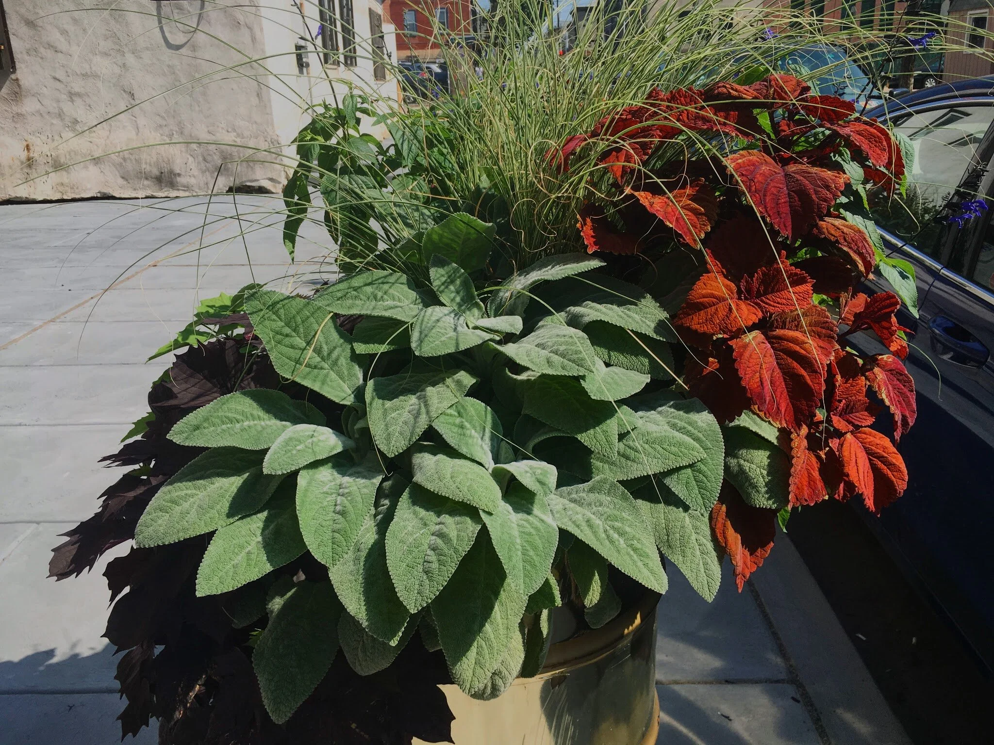 GOLDEN FUNK // PHILADELPHIA 2017