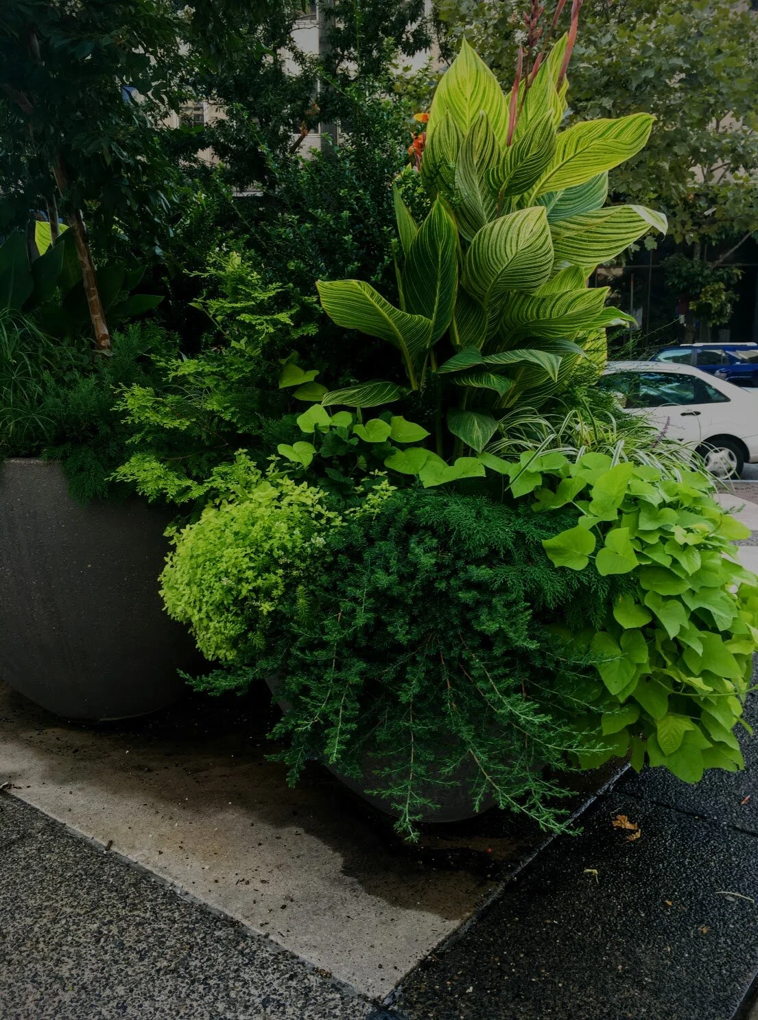 COMMUNITY SPACE // PHILADELPHIA 2018