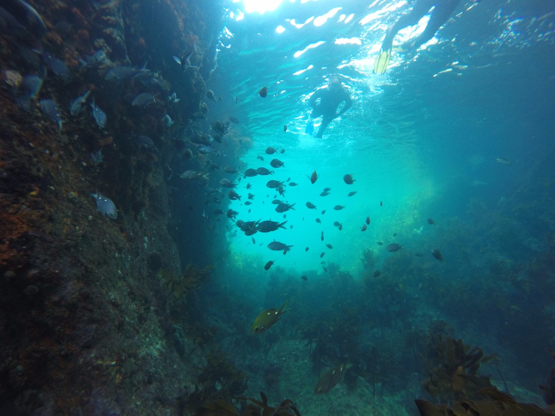 Underwater-Archway-Fish.jpg