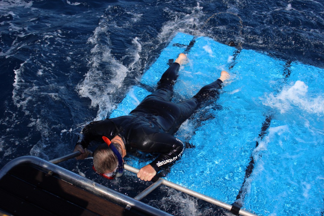 Swim-Mat.jpg