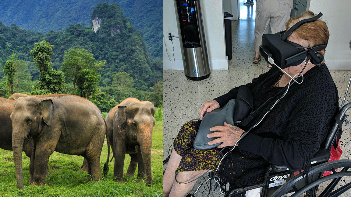 elephants-safari.jpg
