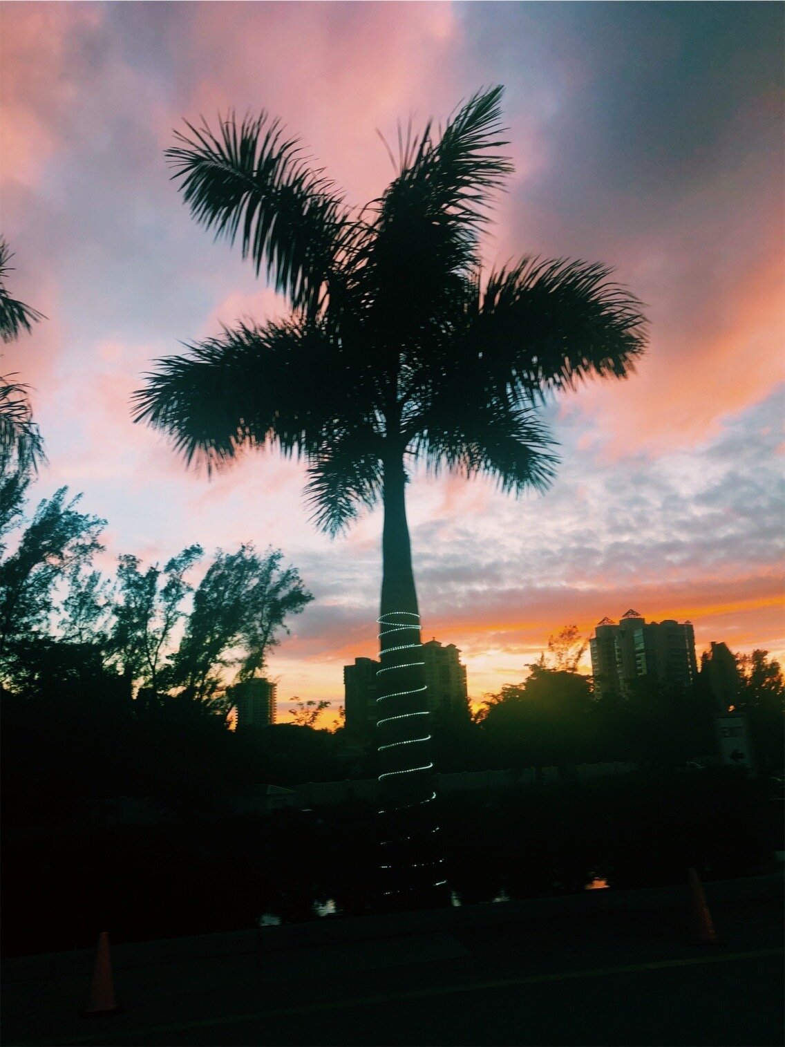 Sarasota, FL