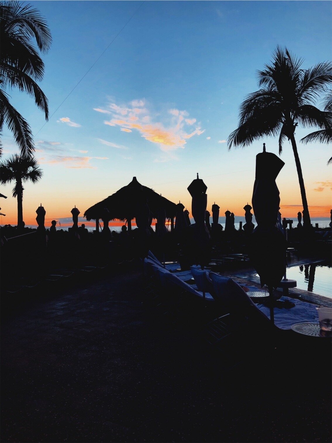 Sarasota, FL