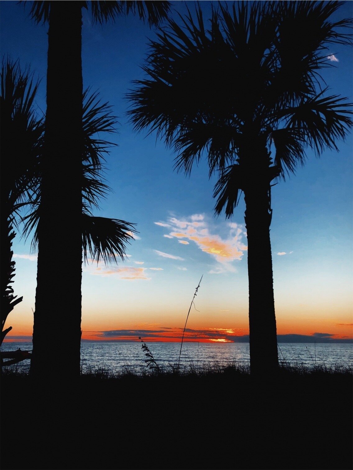 Sarasota, FL