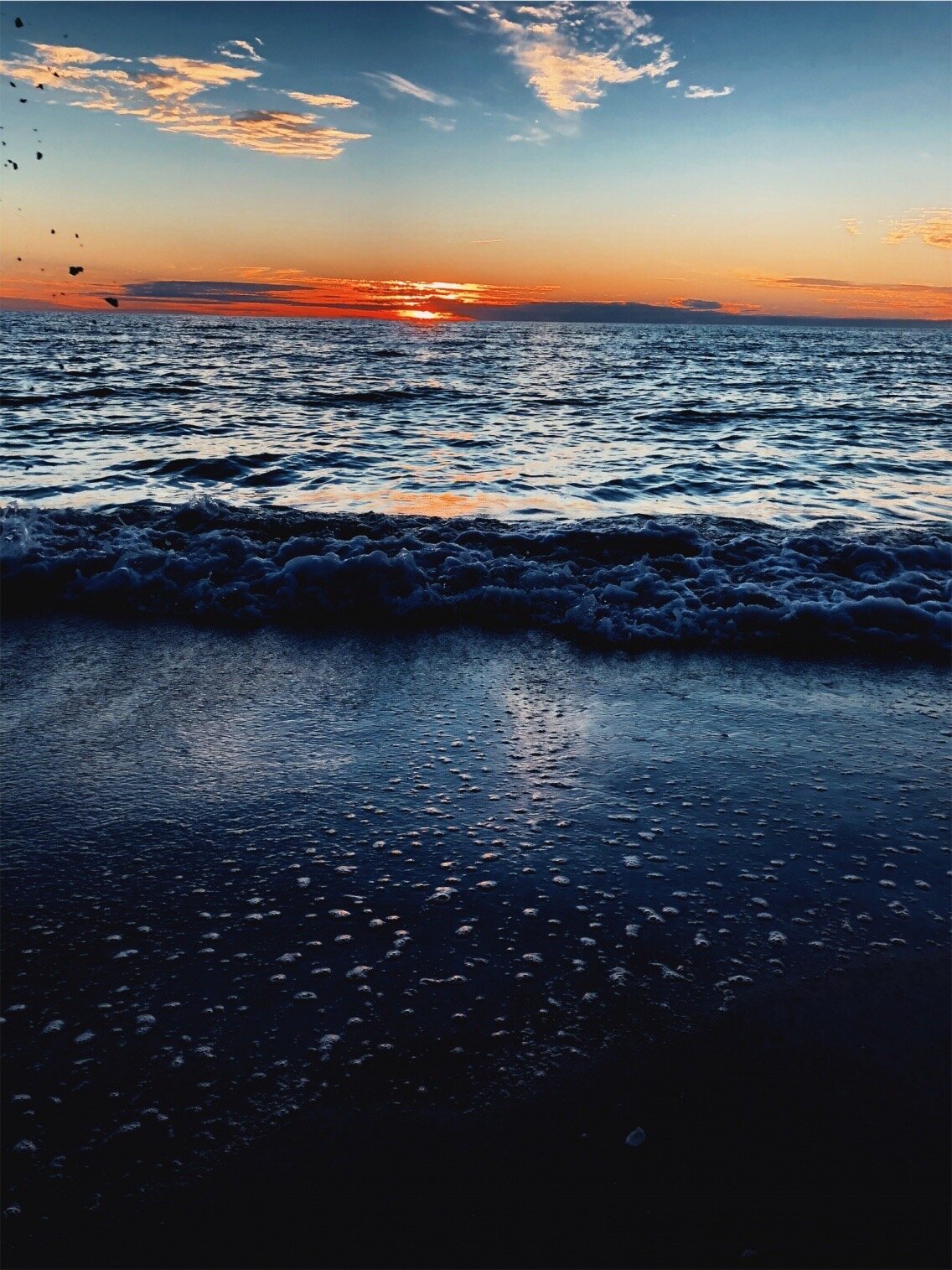 Sarasota, FL