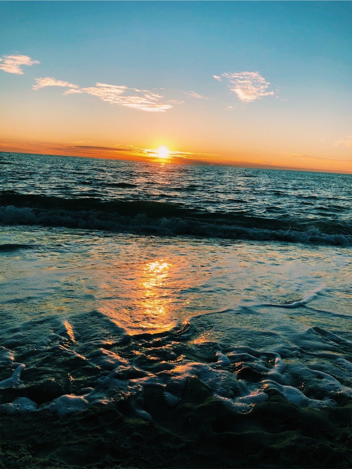 Sarasota, FL