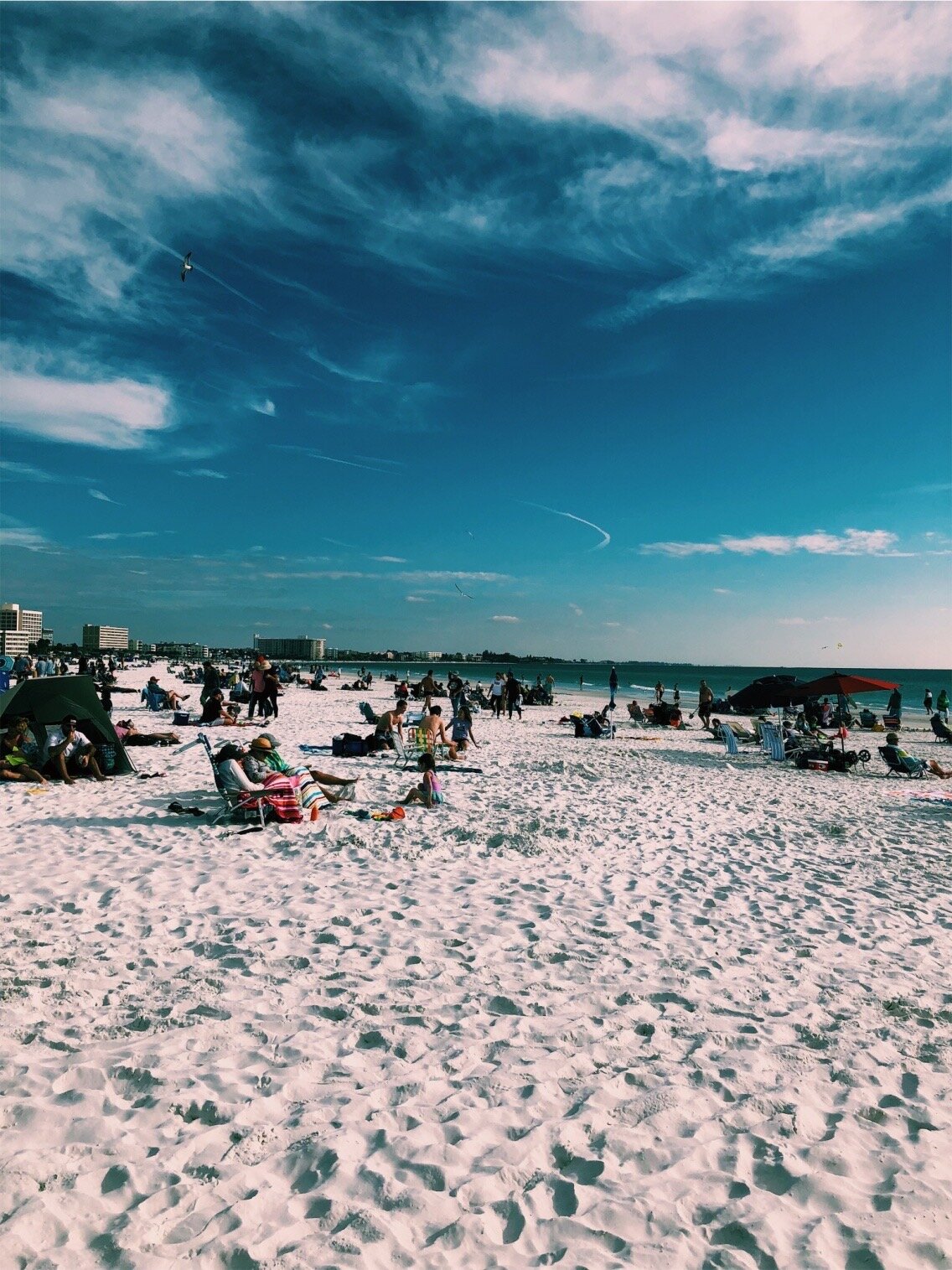Sarasota, FL