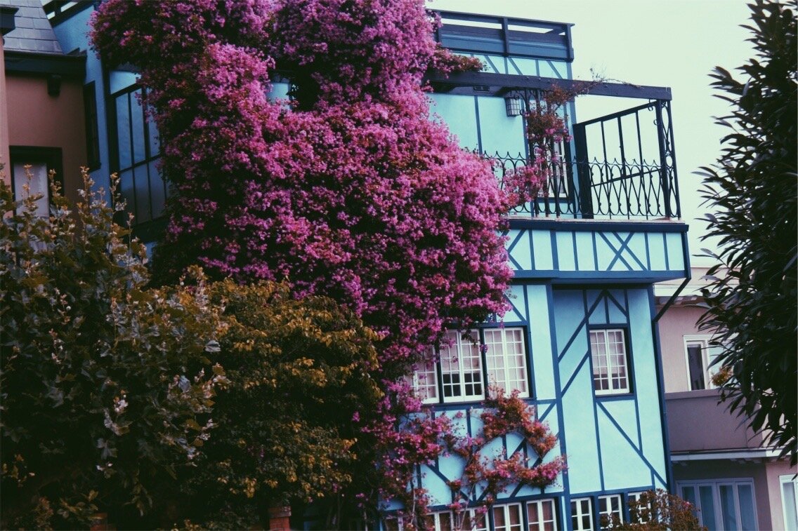 San Francisco, CA