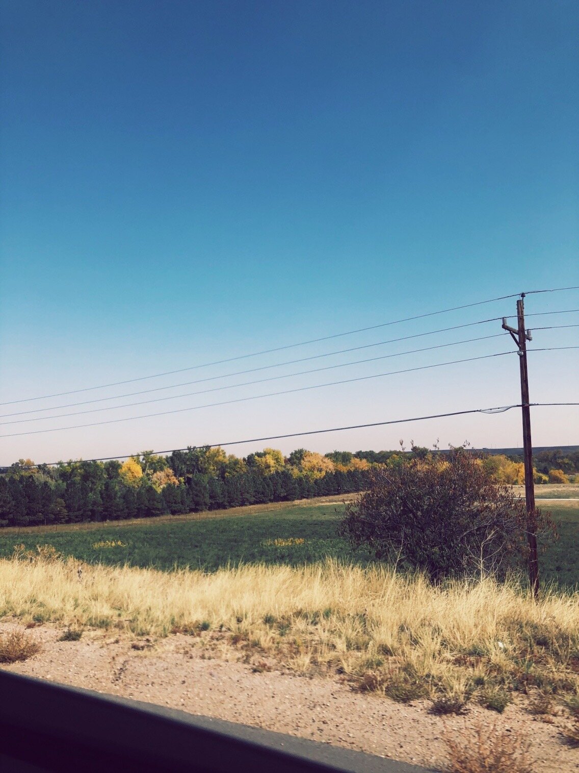 Longmont, CO