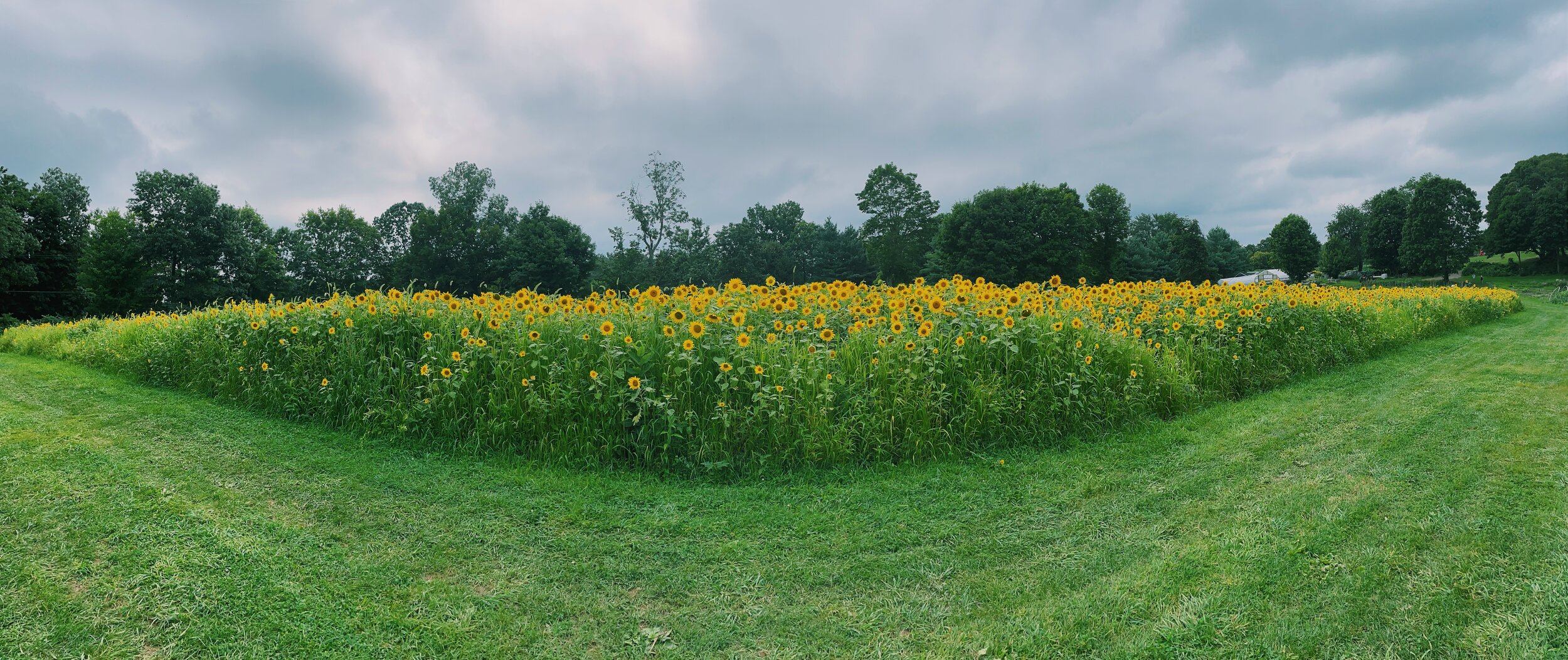 Wilton, CT