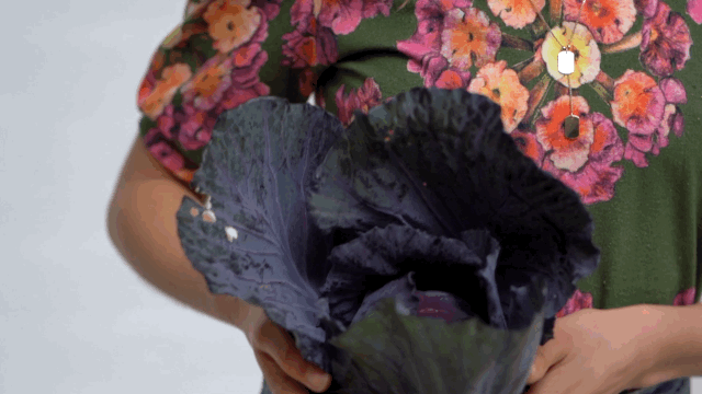 solomon street 19|20 v1-Animated Image (Large).gif