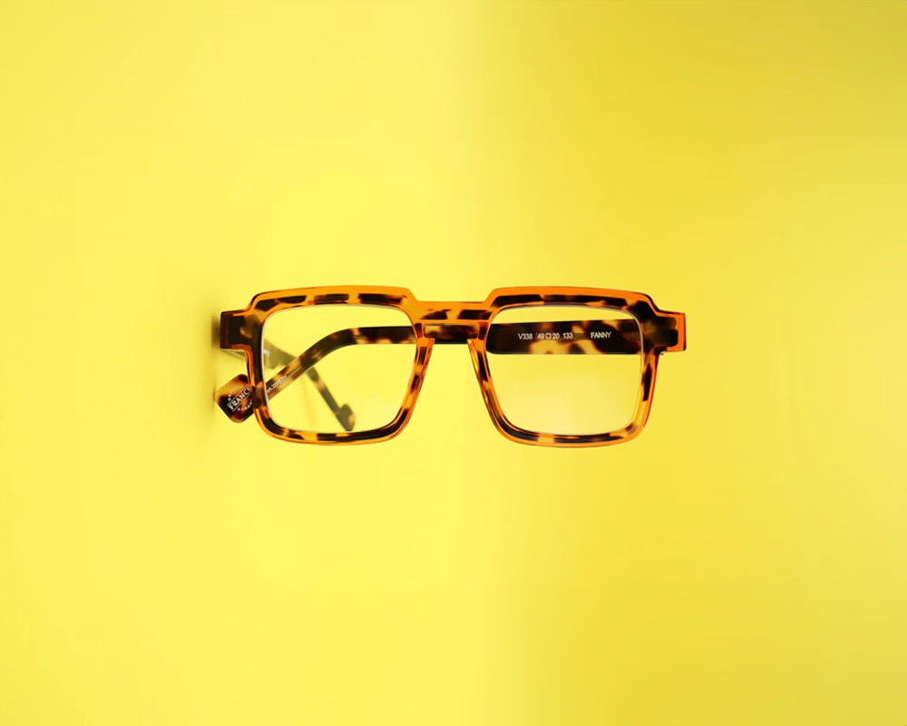 Fanny+V338+133+Tortoise+and+Orange+%283%29.png