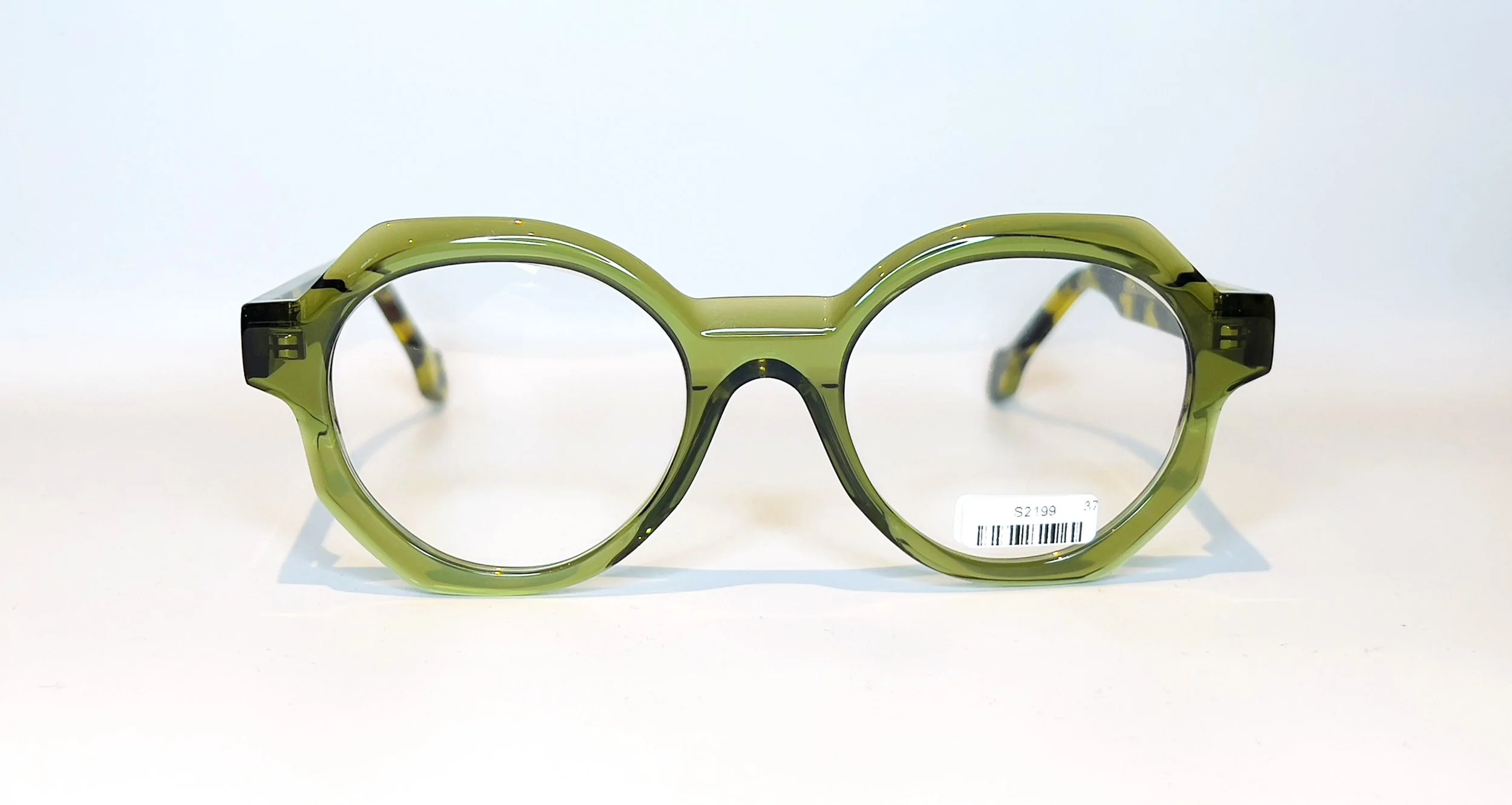 PLM Demoiselle 37 - 1.JPG