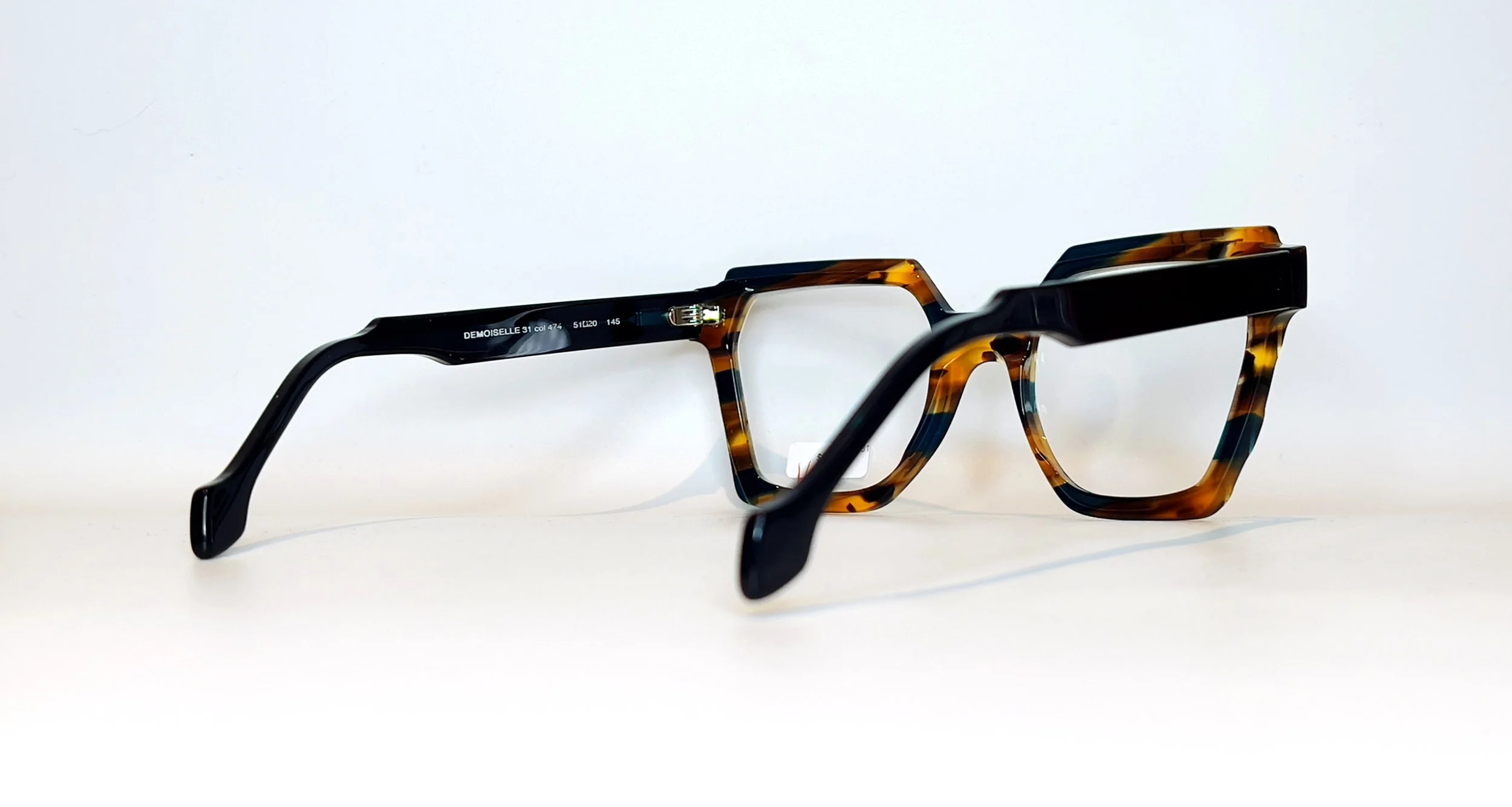 PLM Demoiselle 31 - 4.JPG