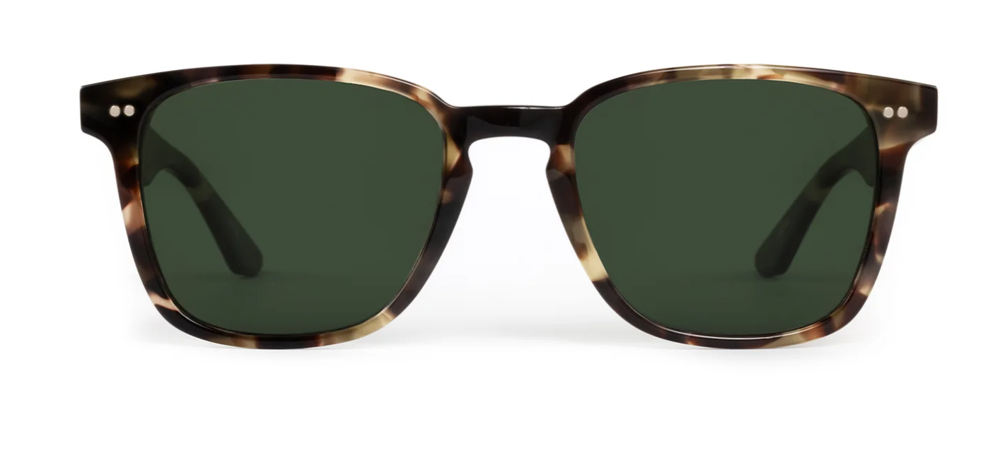 Krewe Vindel in 92730 Patagonian Polarized