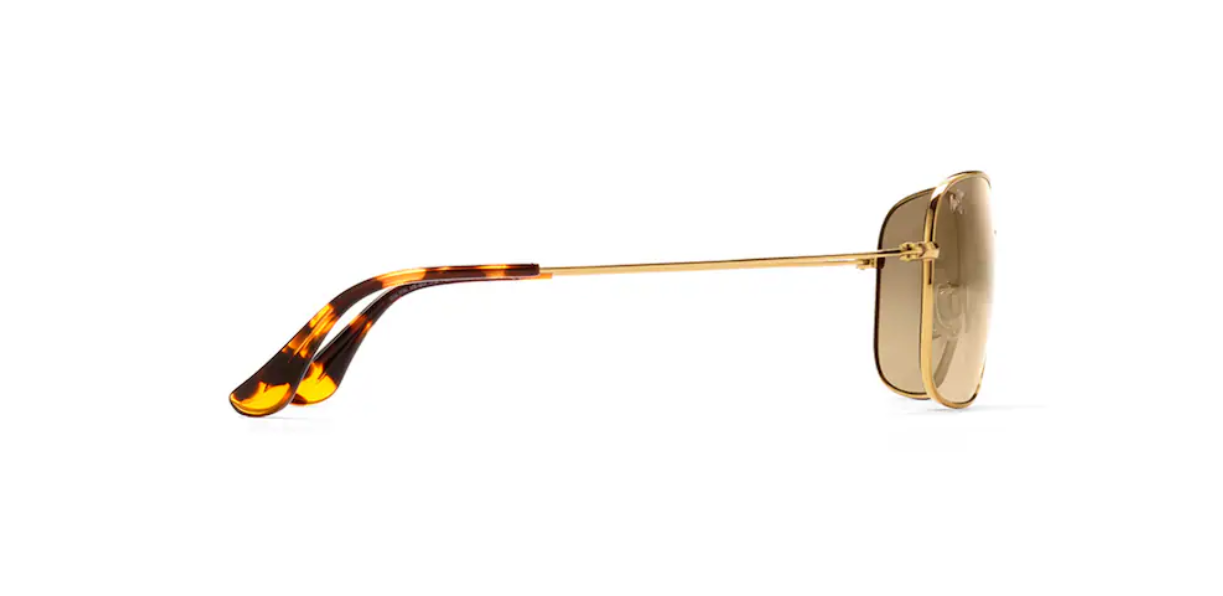 Wikiwiki MJ0246S-002 Gold HCL Bronze (2).png