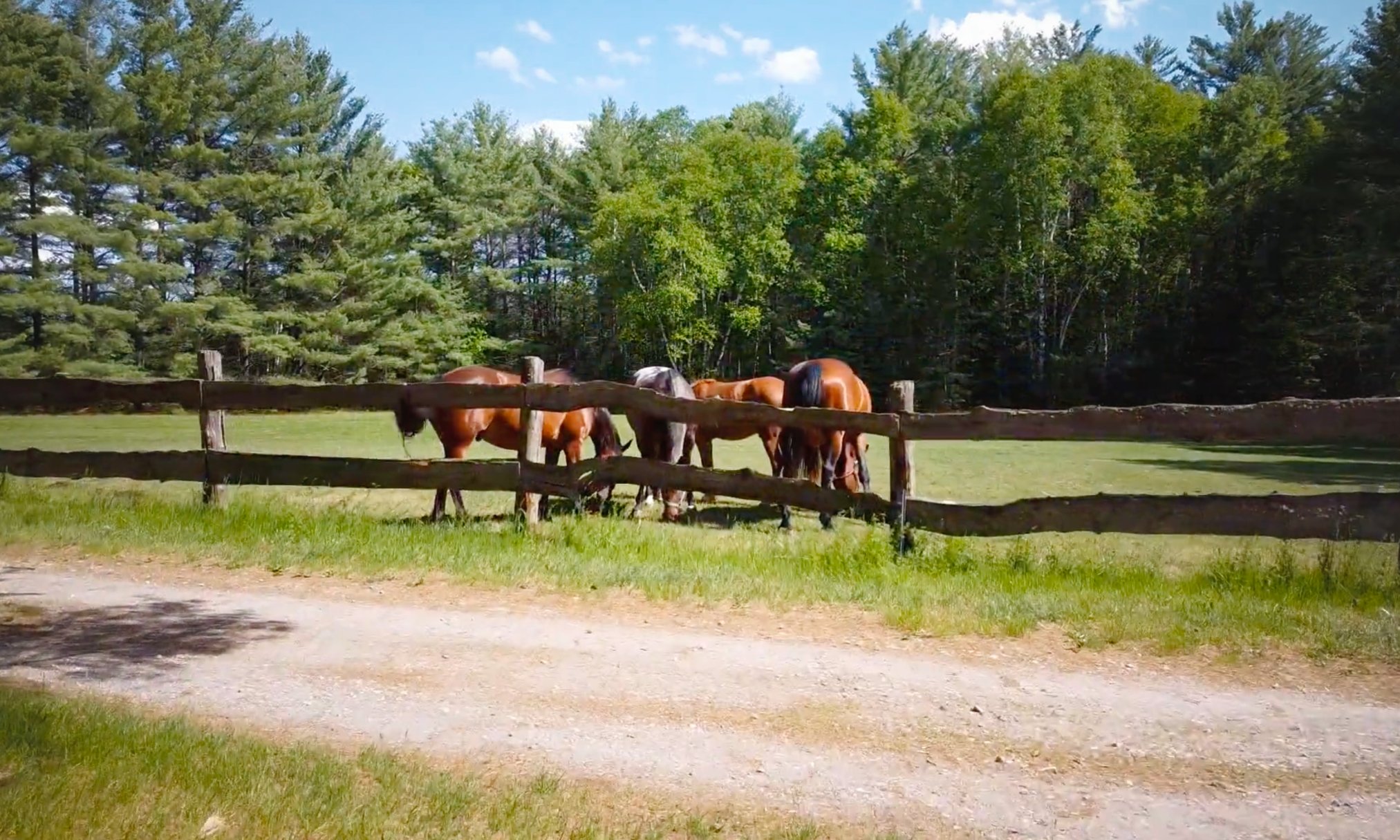 camp site photo 09.jpg