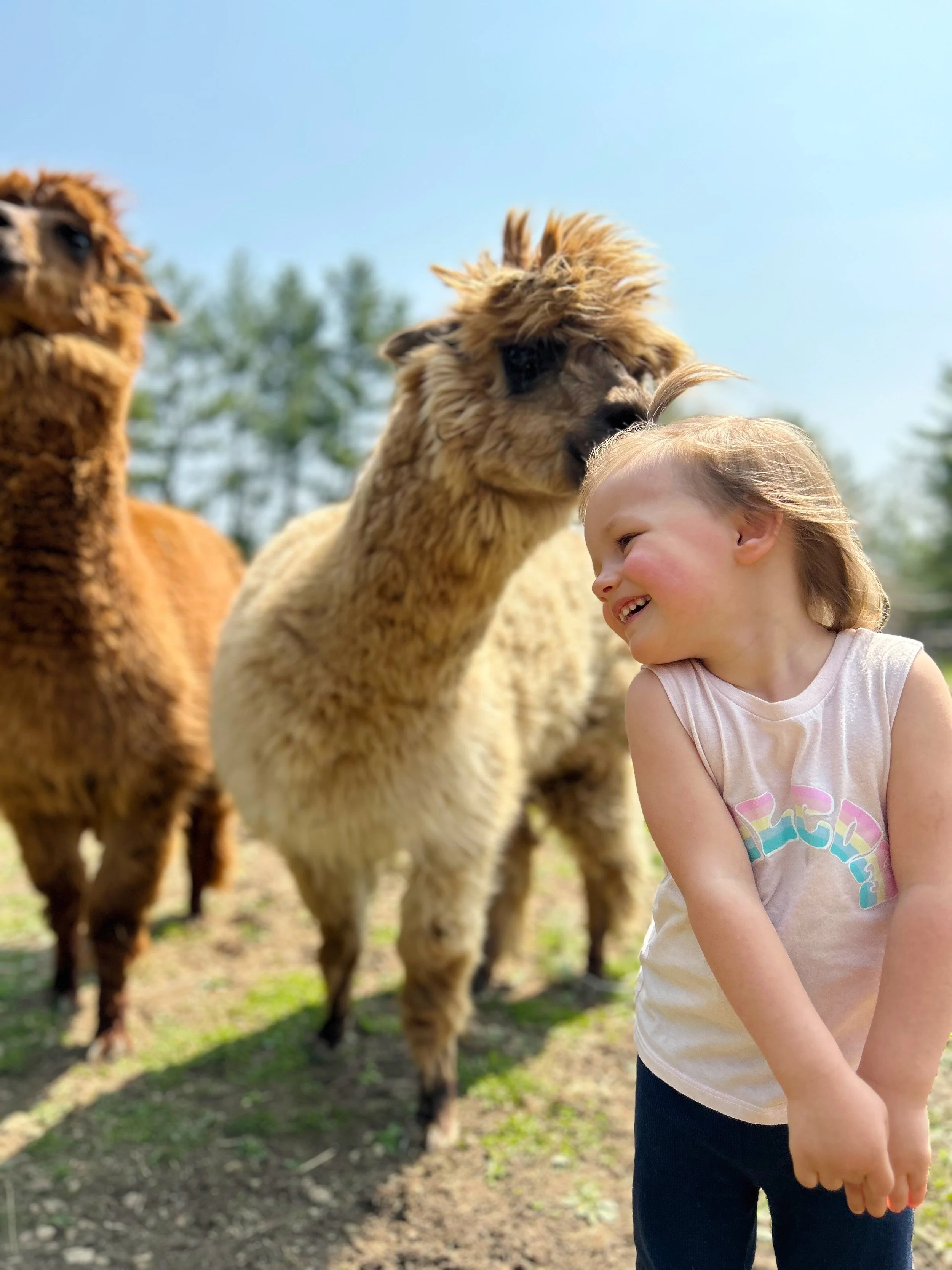 camp site photo 06.jpg