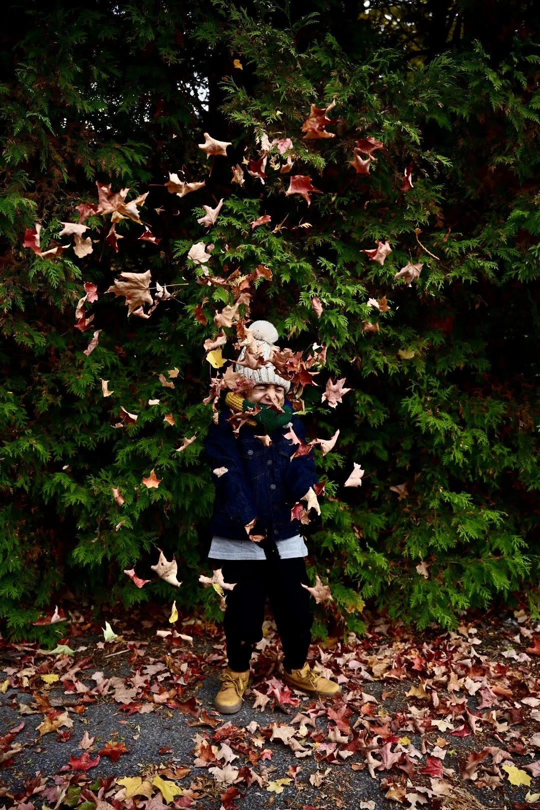 Child in a dark jacket, gray shirt, yellow boots, and a winter hat with a pom-pom, joyfully playing in falling autumn leaves against a green hedge background.