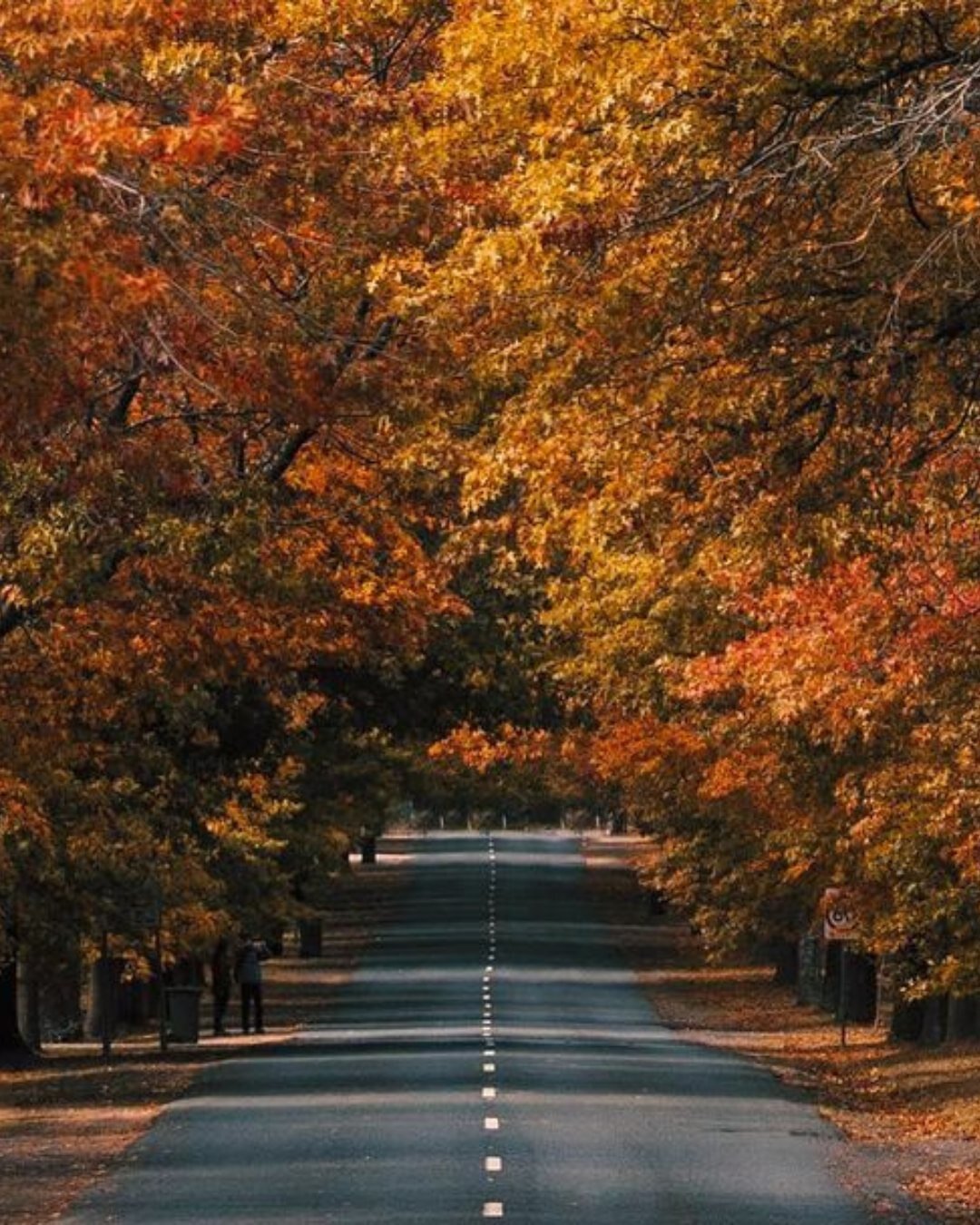 Thinking about taking a roadtrip to Daylesford? It really is the perfect season for it! 😍🍂🚘

Photo by @jonaslauphoto

.
.
.
.
.
.
.
#beergarden #daylesford #discoverdaylesford #daylesfordmacedonlife #daylesfordmacedonranges #pub #victoria #regiona