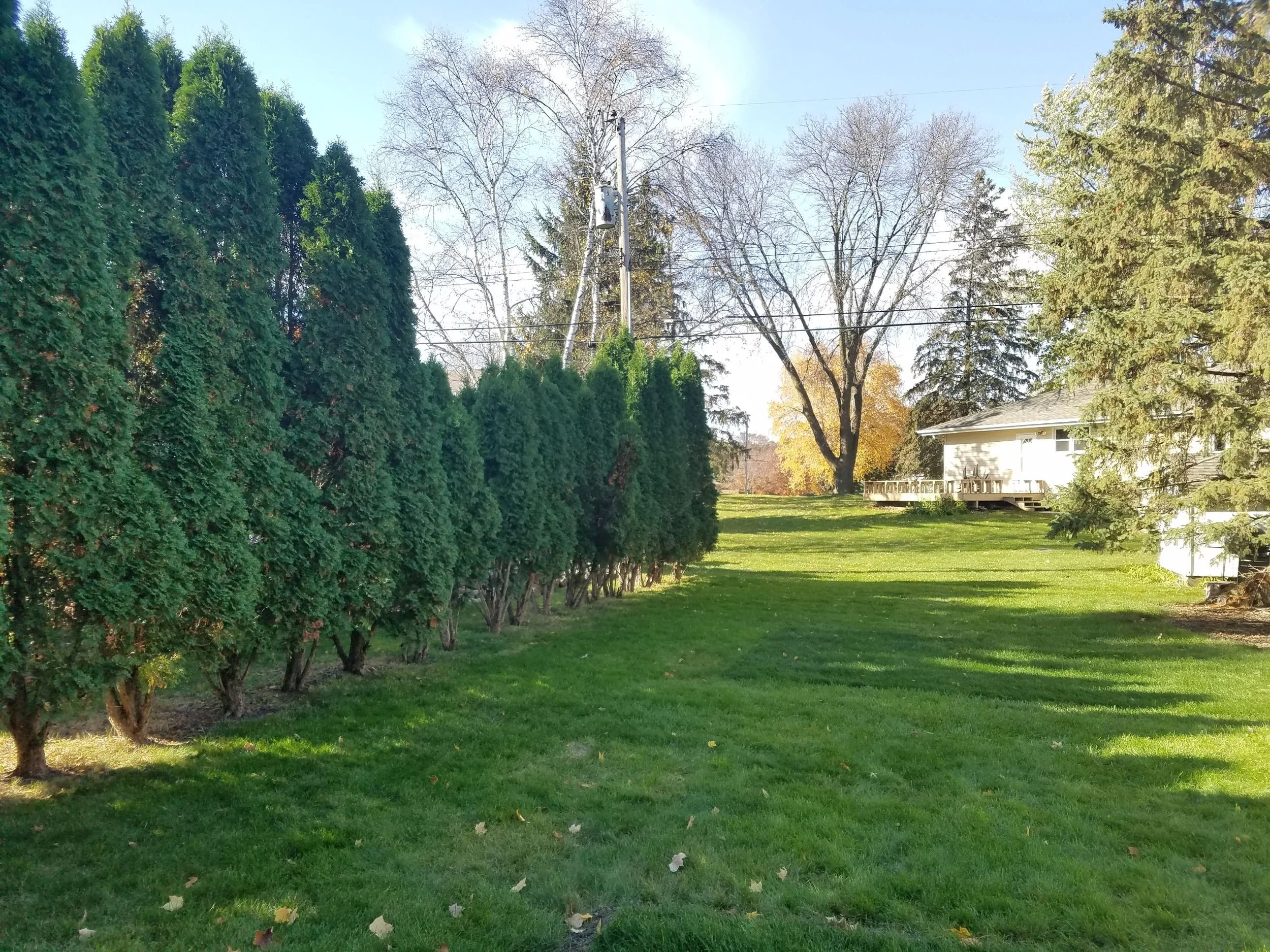 Ext 20171020_115456.jpg