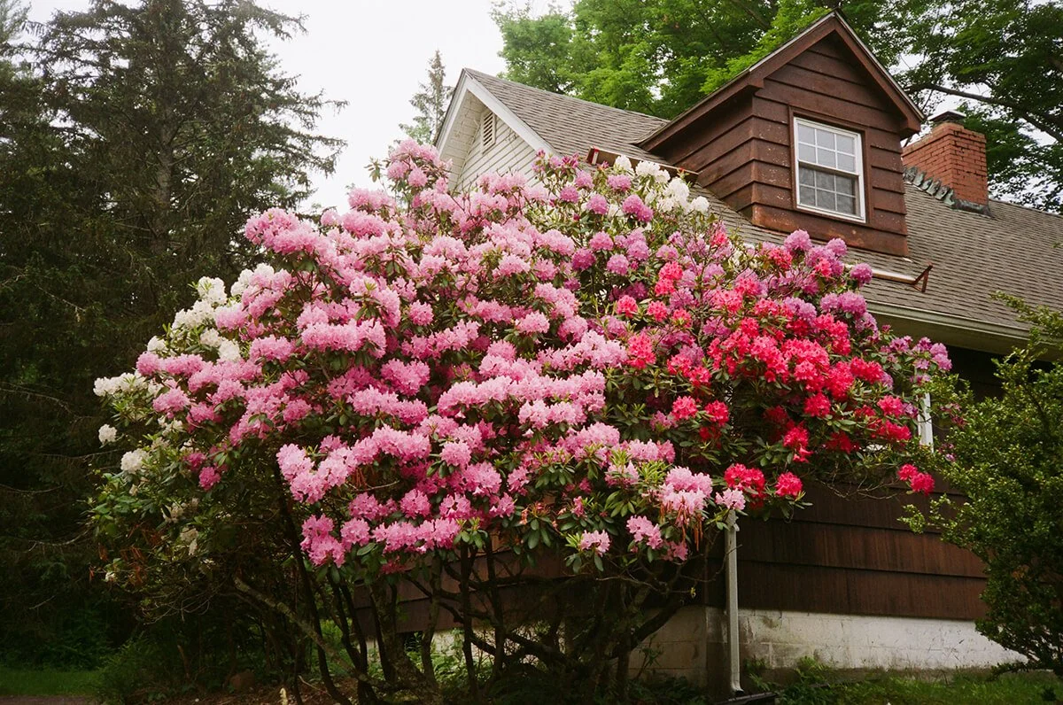 New Year, New Build?