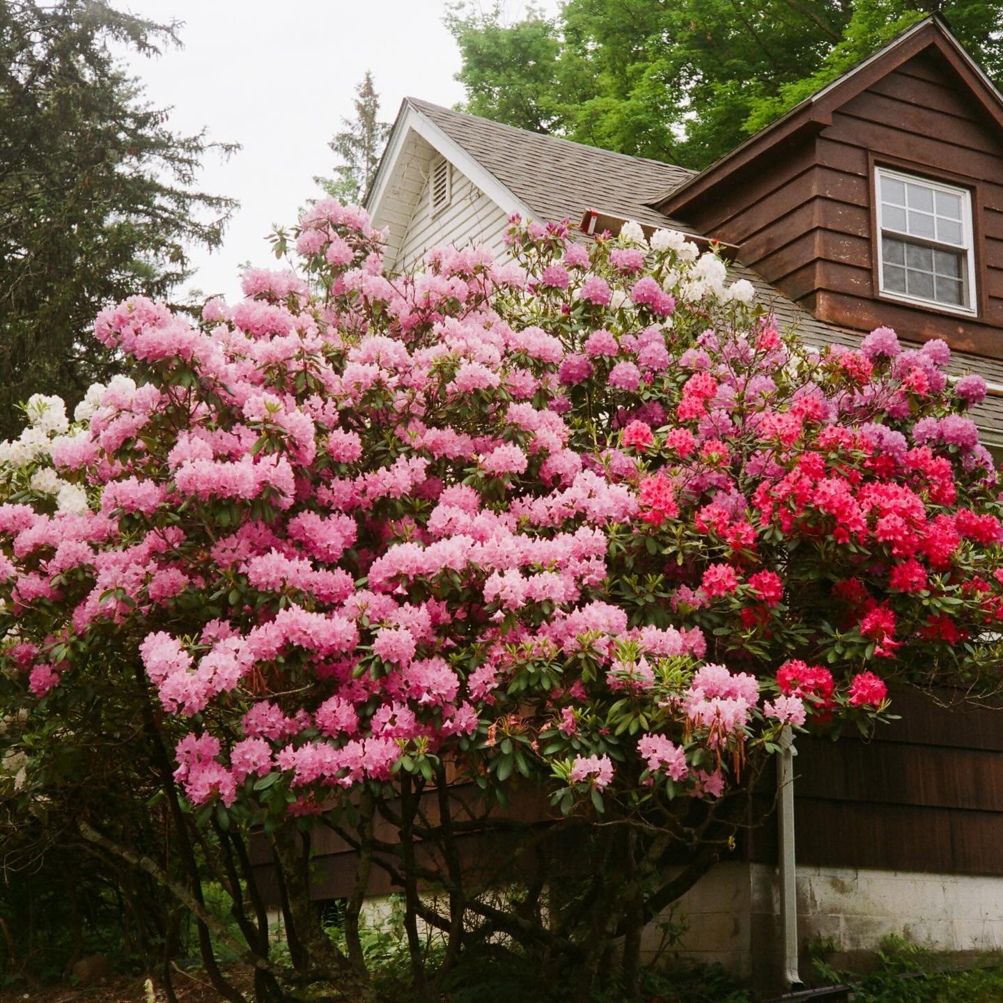 Portland has SPRUNG!🌸

You are invited to Shred Day 2024 hosted by @theagencyportland where we&rsquo;ll bid farewell ✌️to clutter and welcome a fresh and green new season.

Let&rsquo;s celebrate Earth Day on 4/20 together by shredding and recycling 