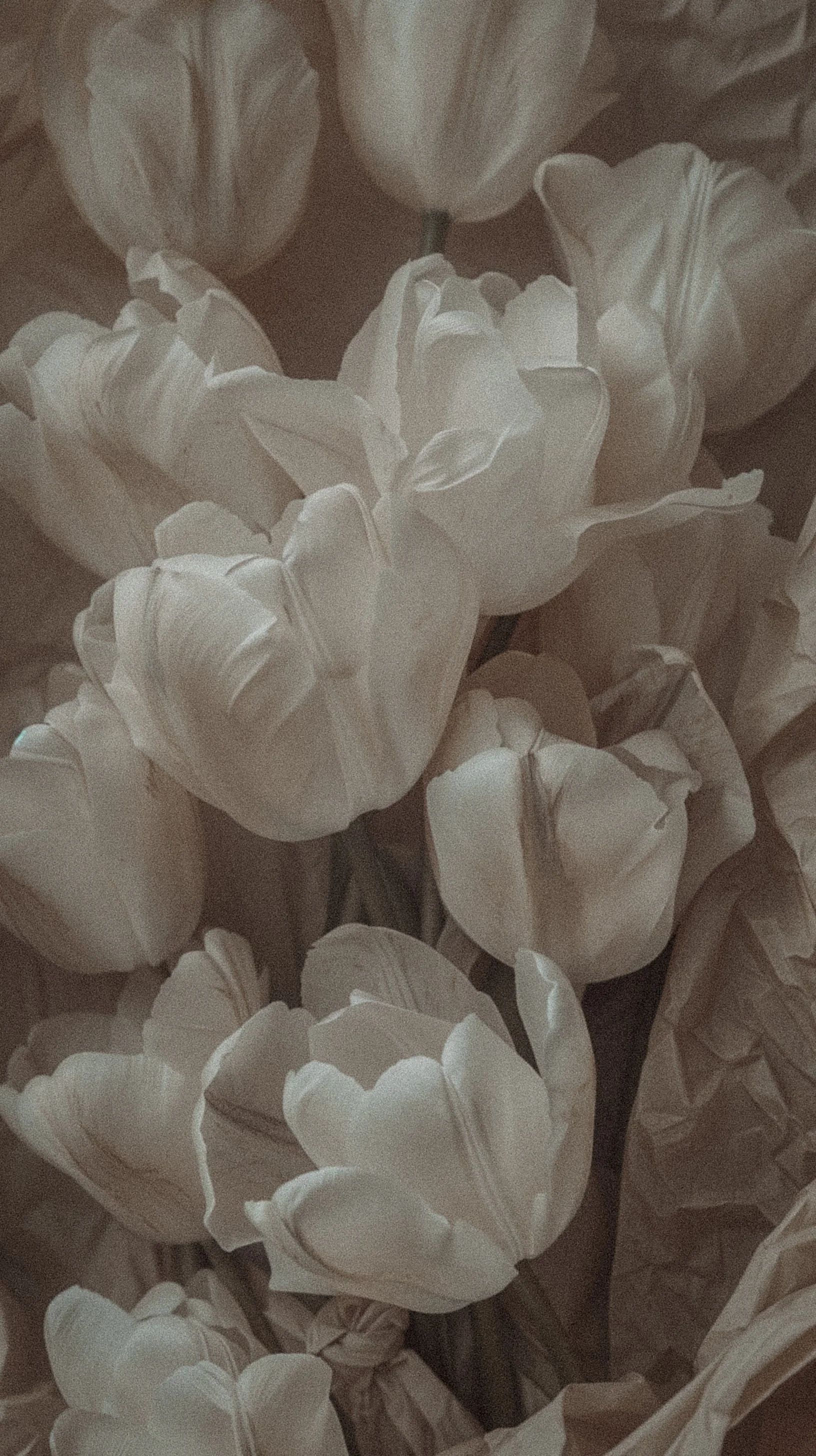 Giving Back: Black Lives Matter