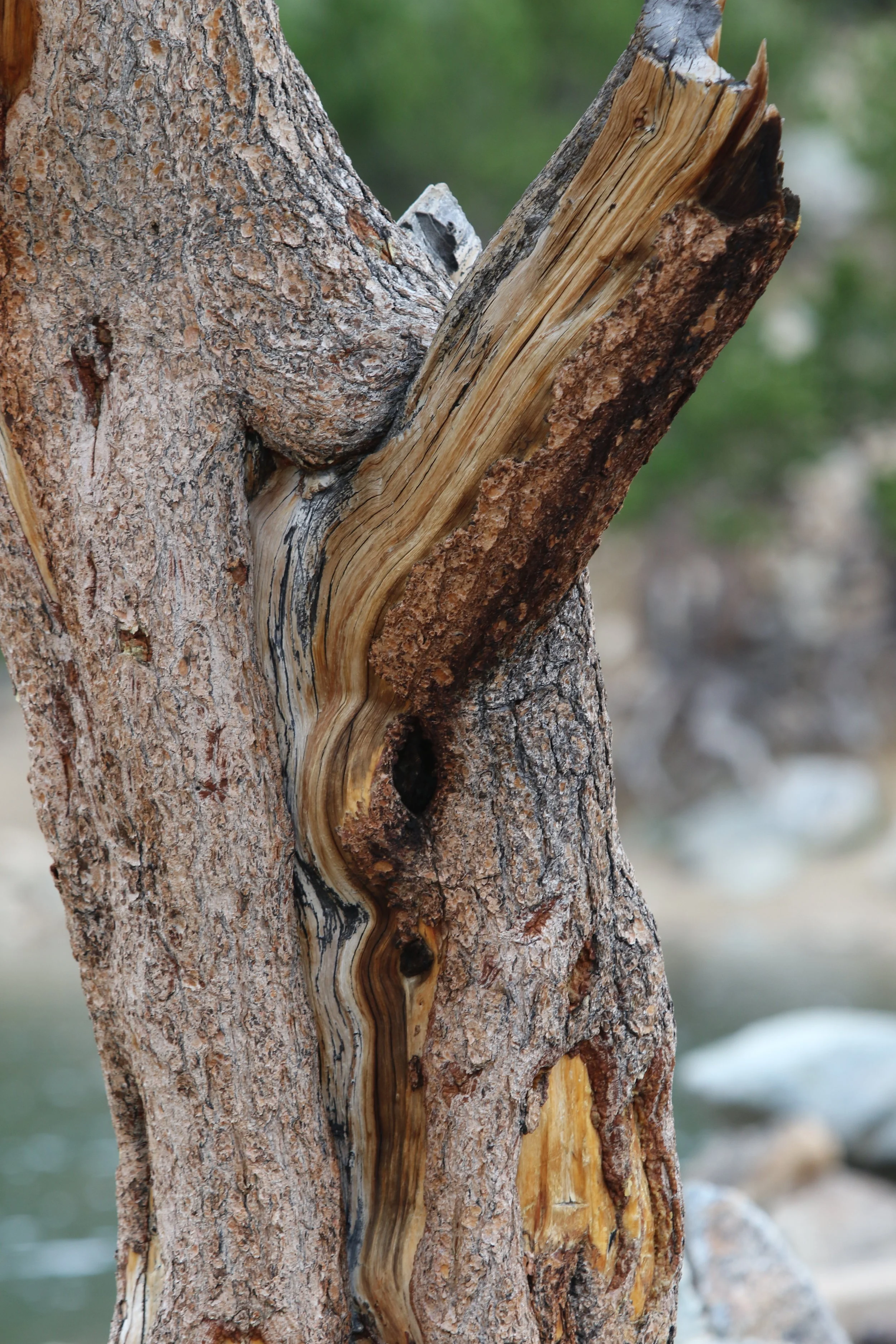 St. Mary's Glacier - 2019