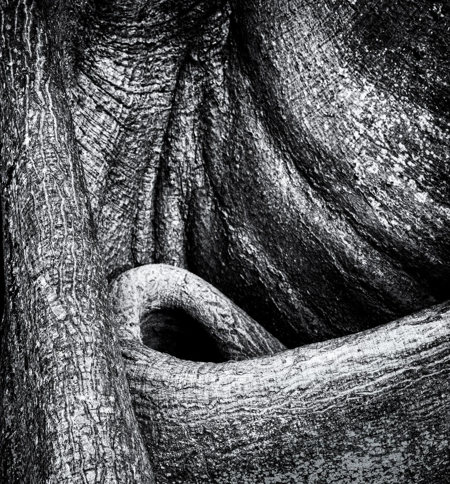 2018-02-Inner Trunk.jpg