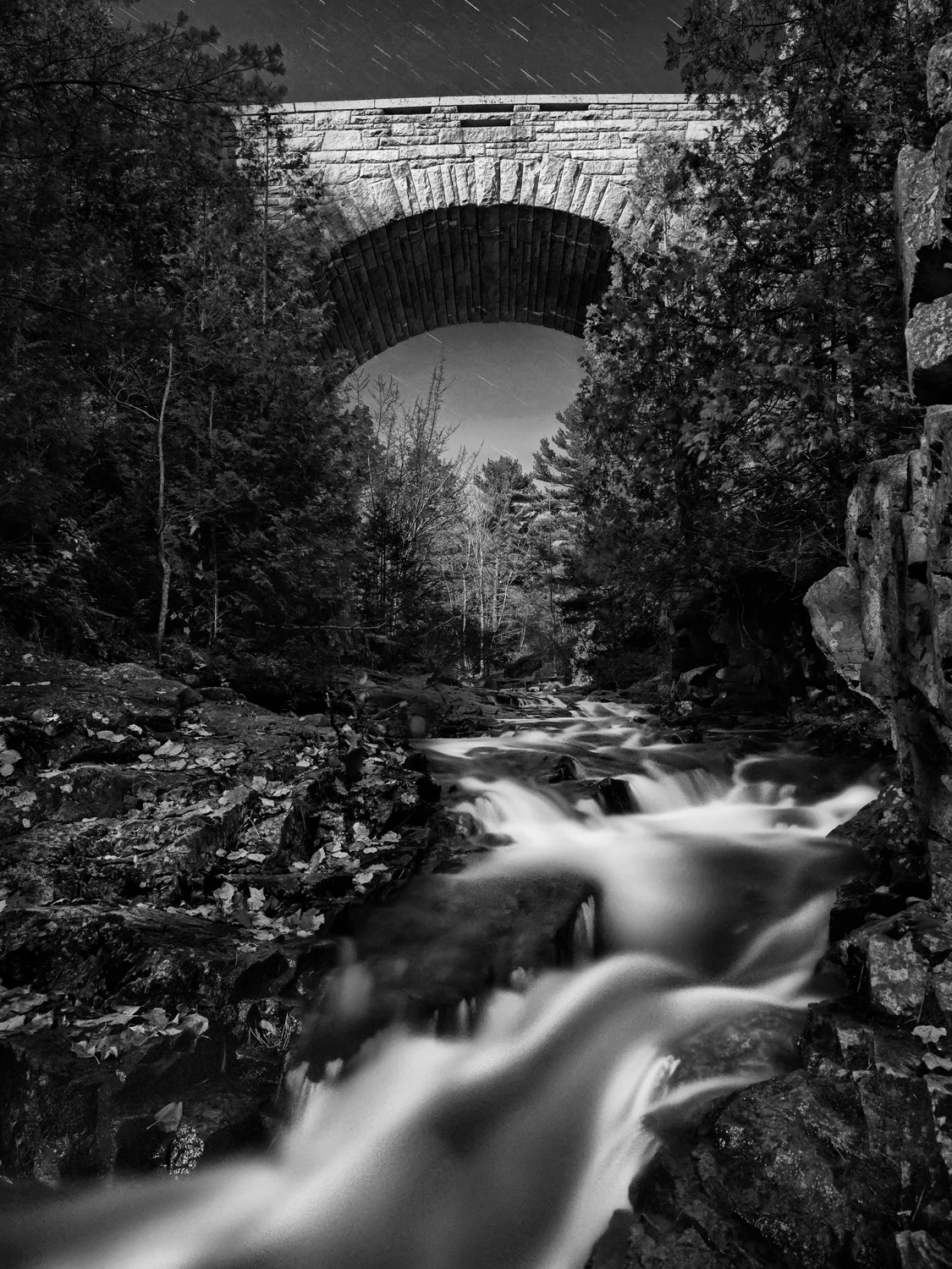 Duck Brook
