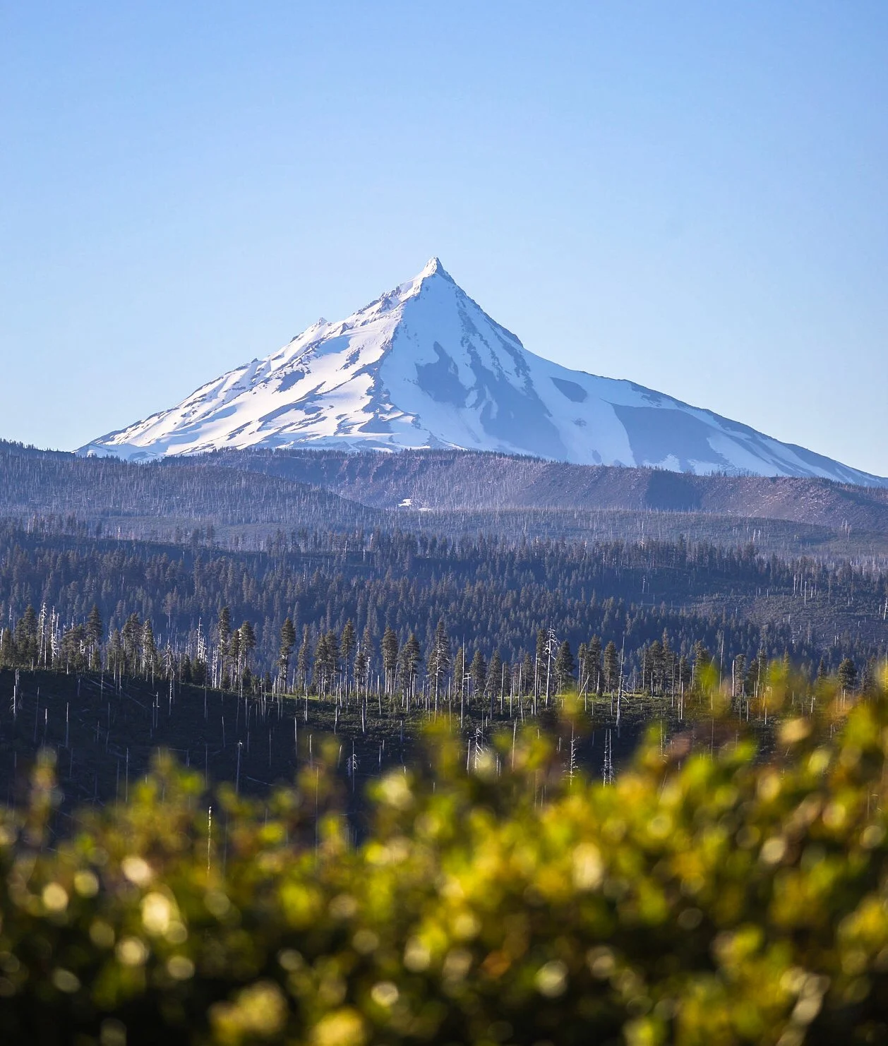 Summer's Return to Mt Jefferson.jpg