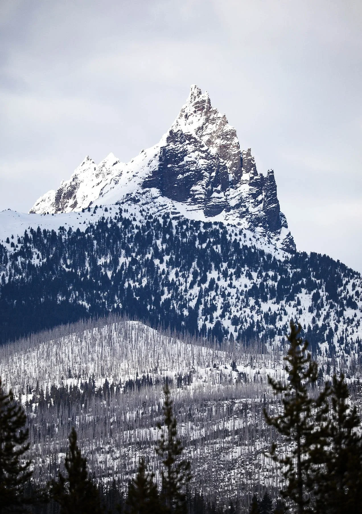 Three Fingered Jack Snow Day.JPG
