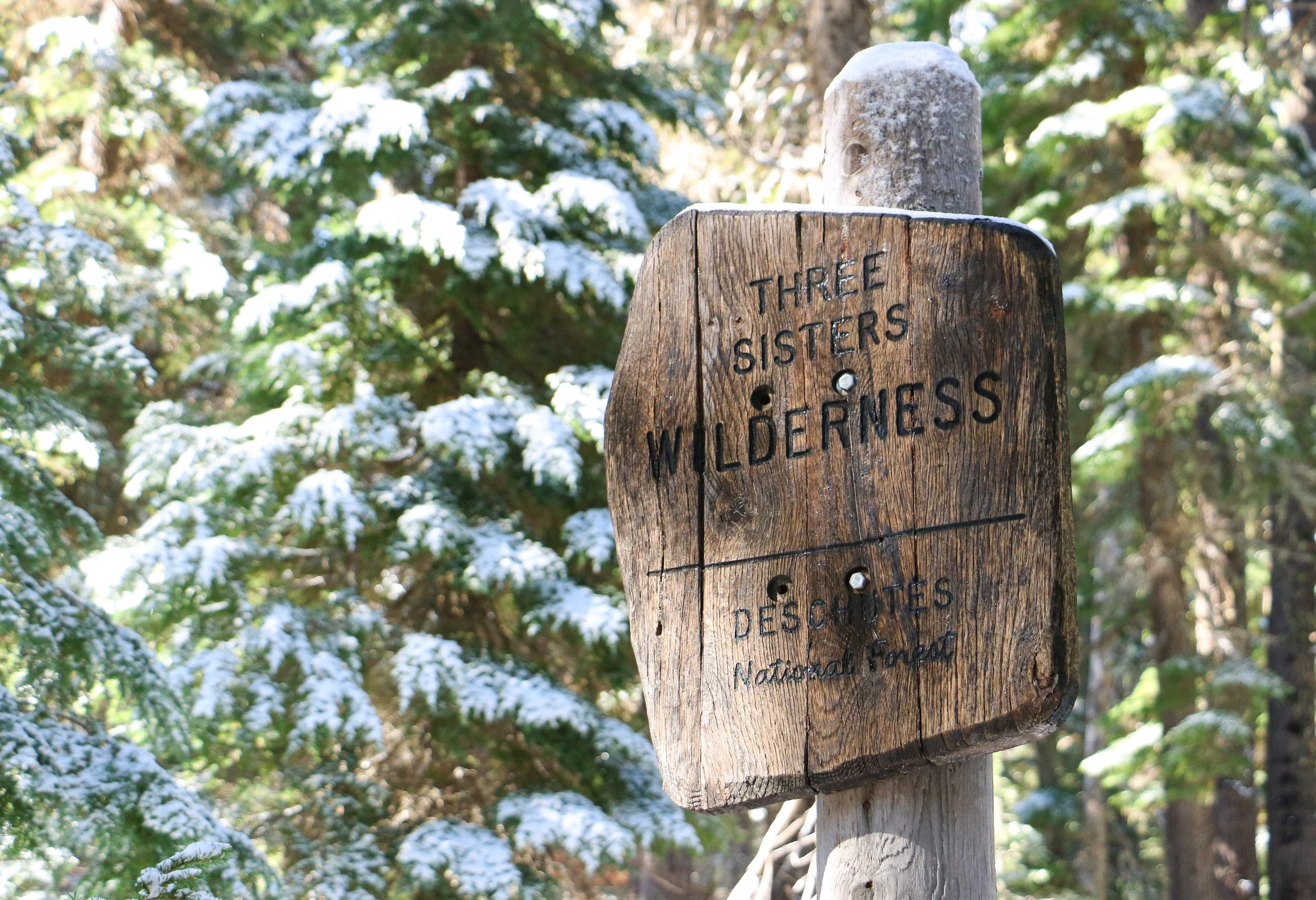 Snow Dusted Wilderness.JPG