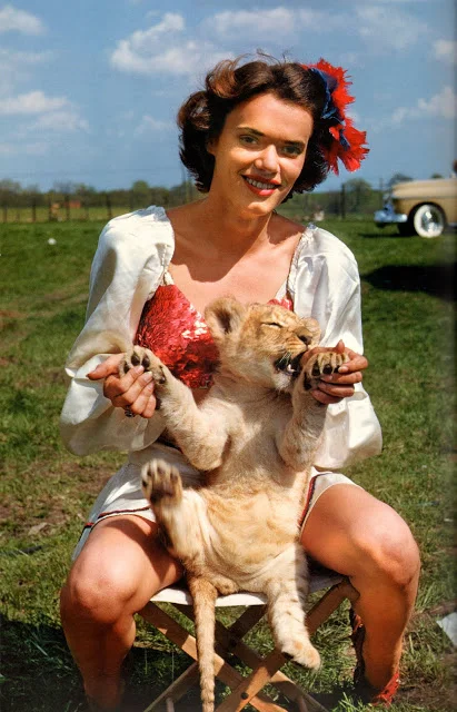 dailey_bros_circus_1950.JPG