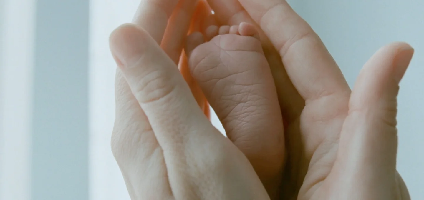 tree_of_life_hands_malick.jpg