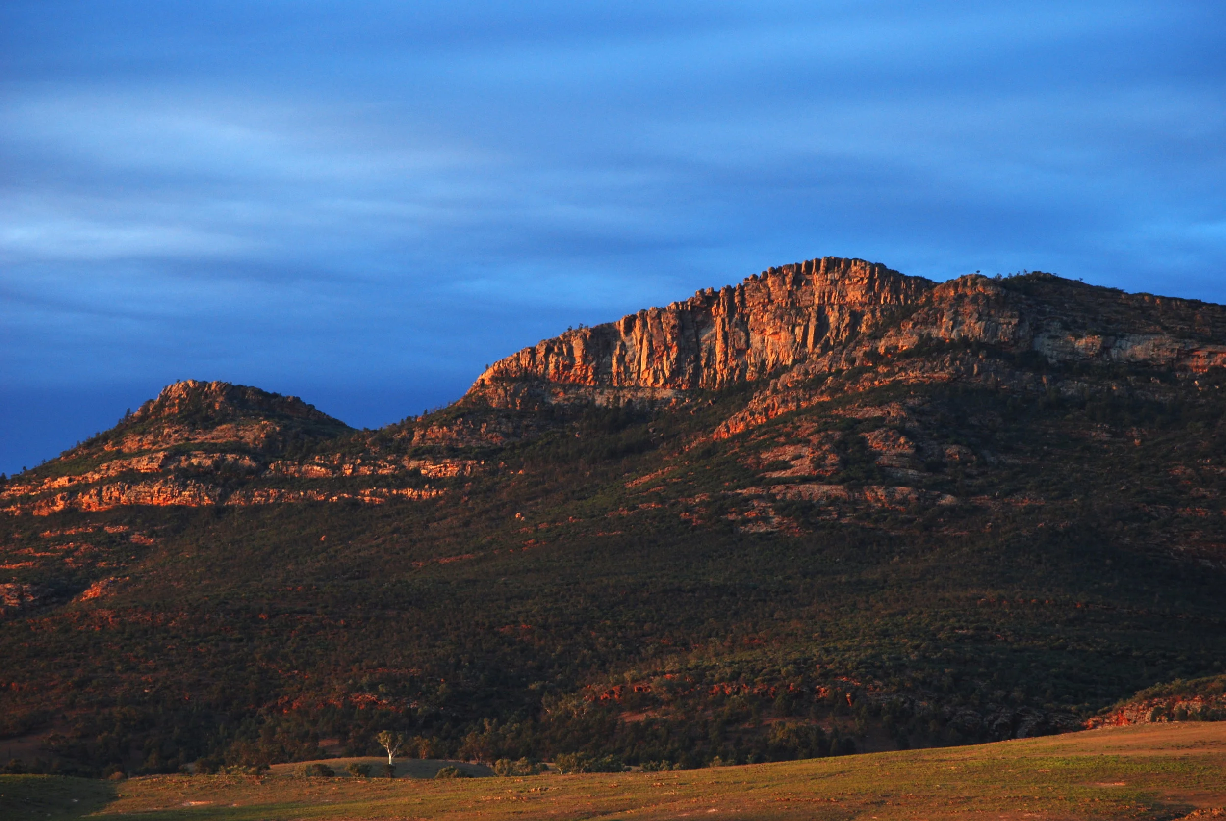 Wilpena_Pound_-_moody_sunset.JPG