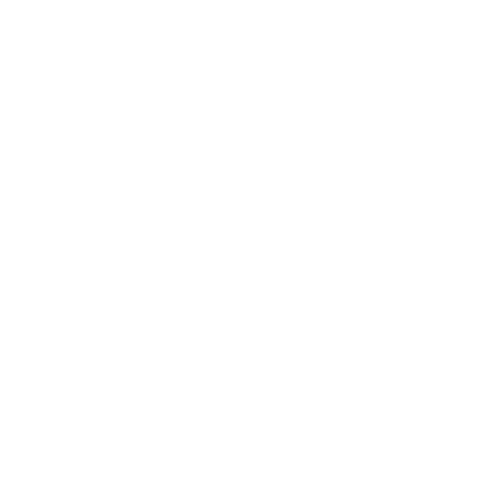 Village Cafe