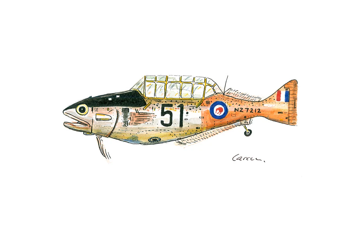 Red Cod Harvard