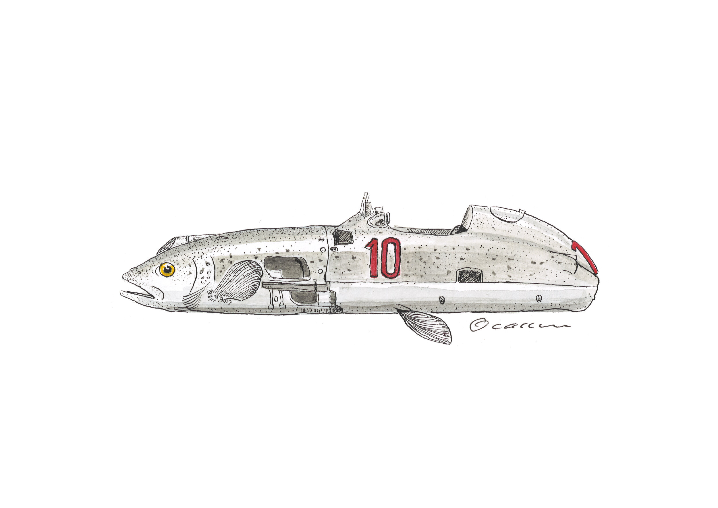 The W196 Von Behr Trout