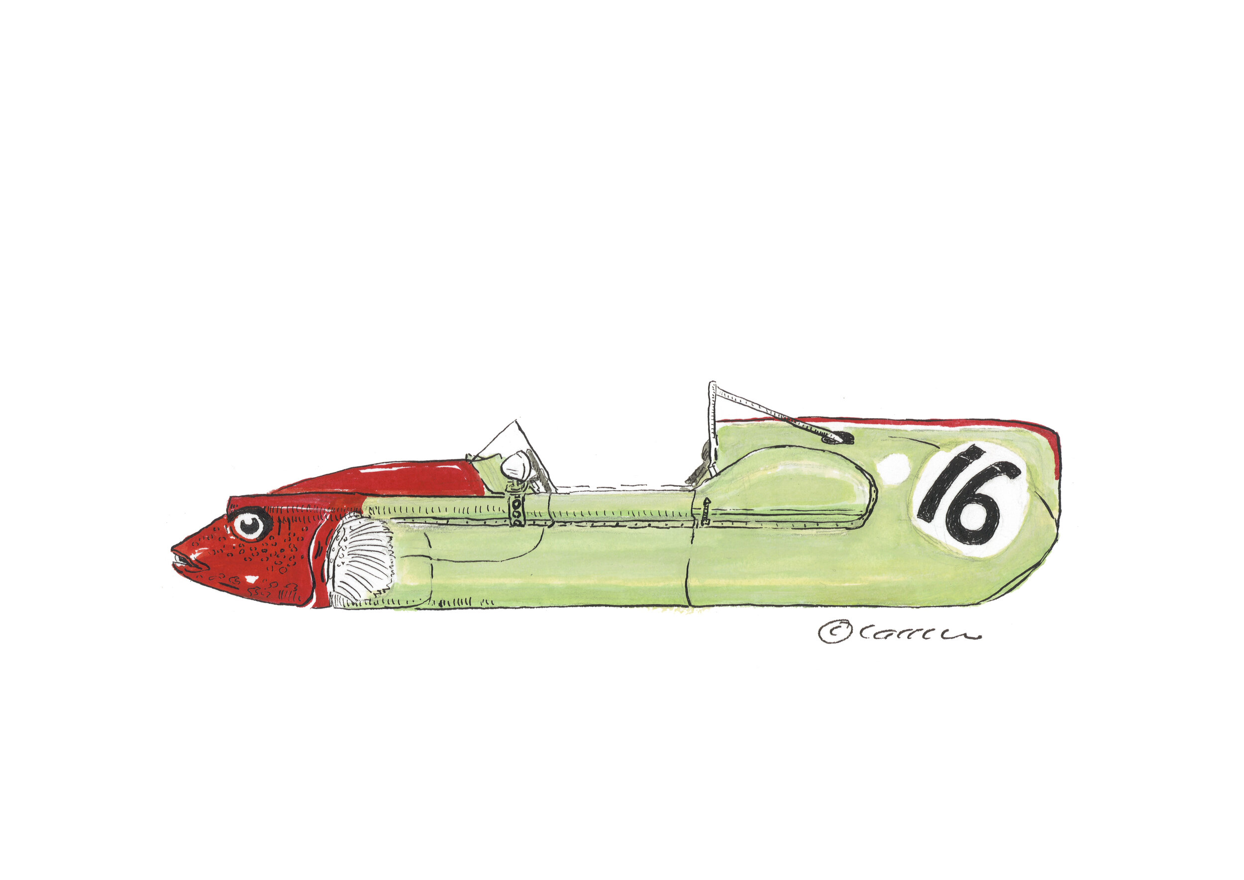 The Bowater Cooper Wrasse