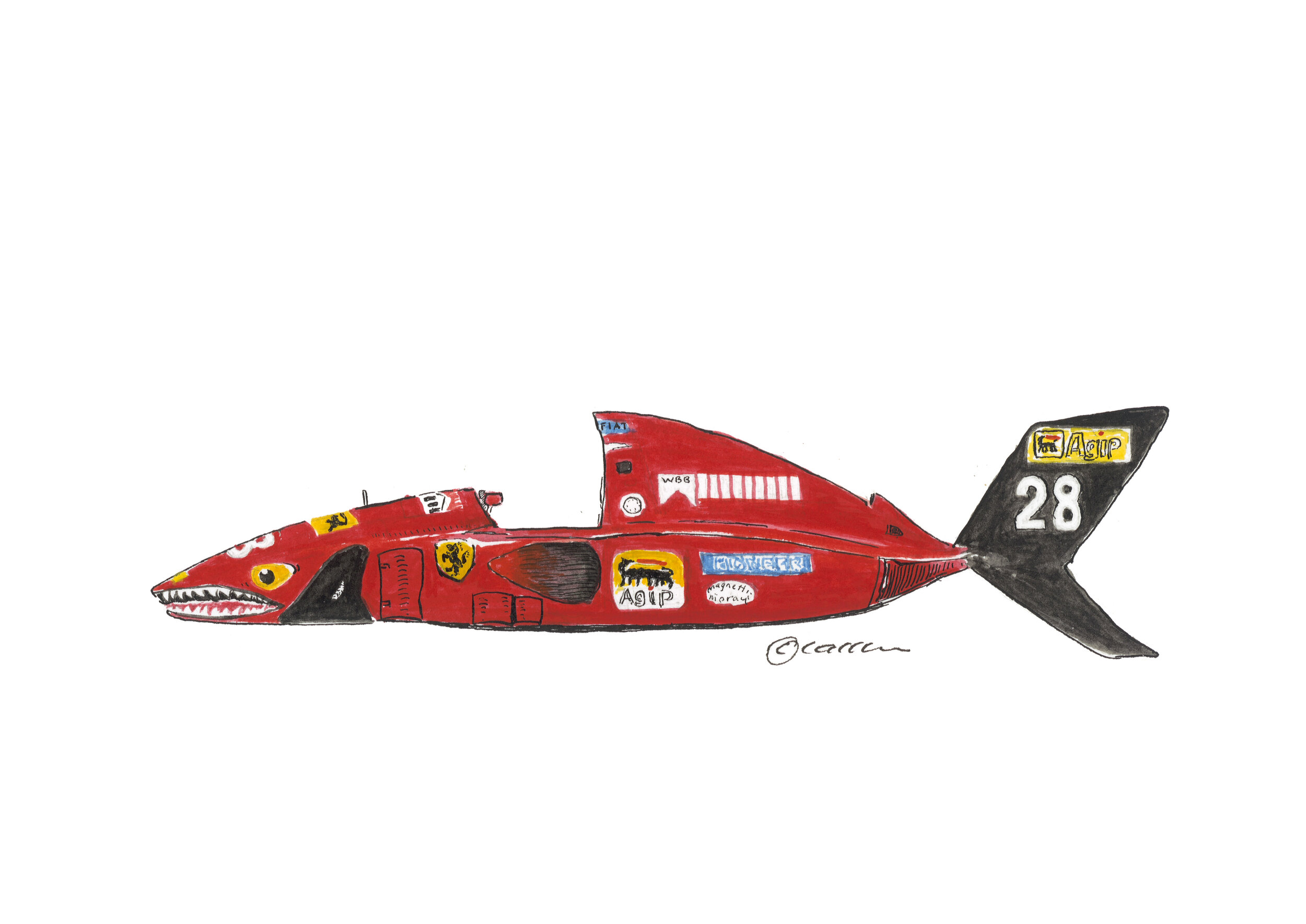 The Squalo Broek Trout