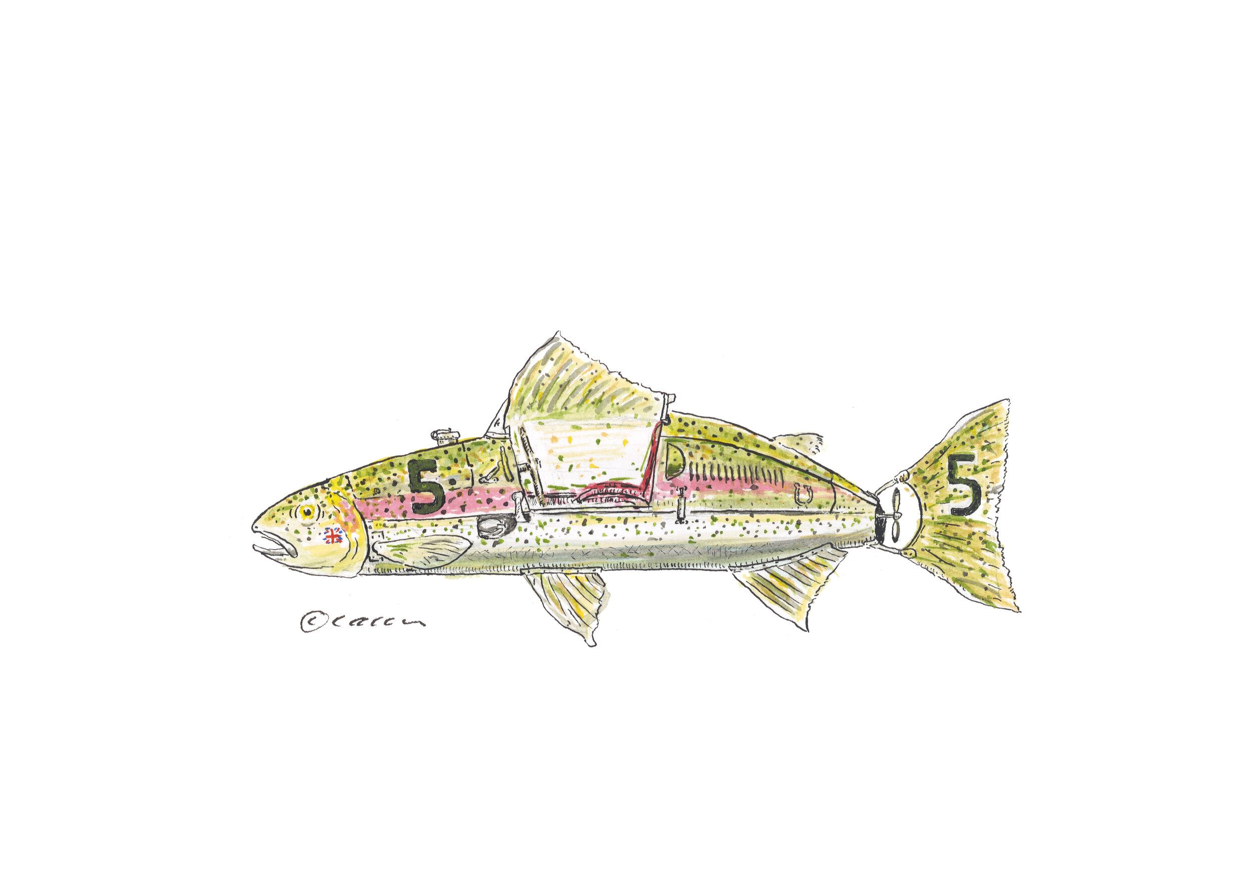 The Cooper Tiddler 500