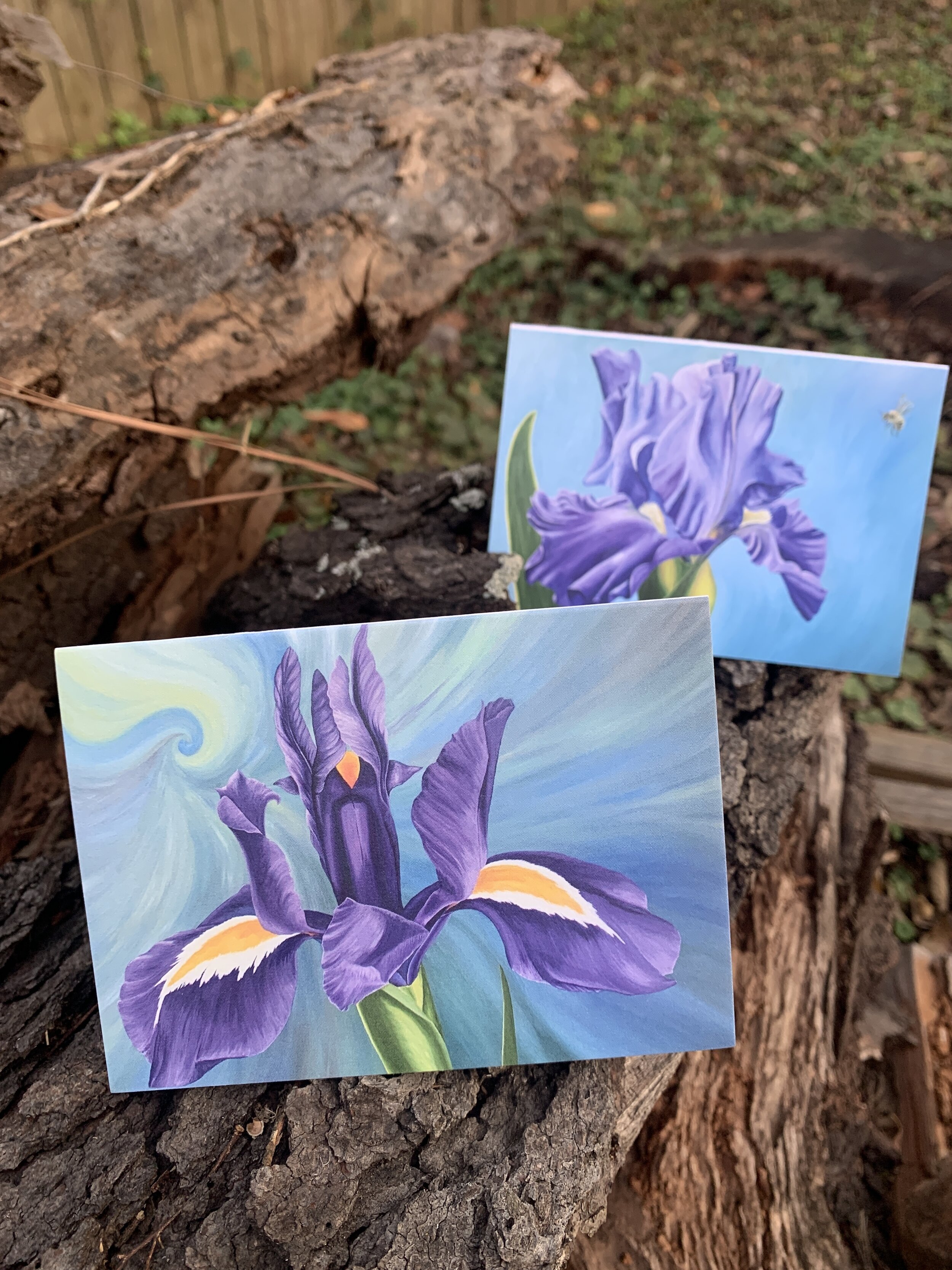 8538FC9B-2A7A-419B-BD20-56440133CB31