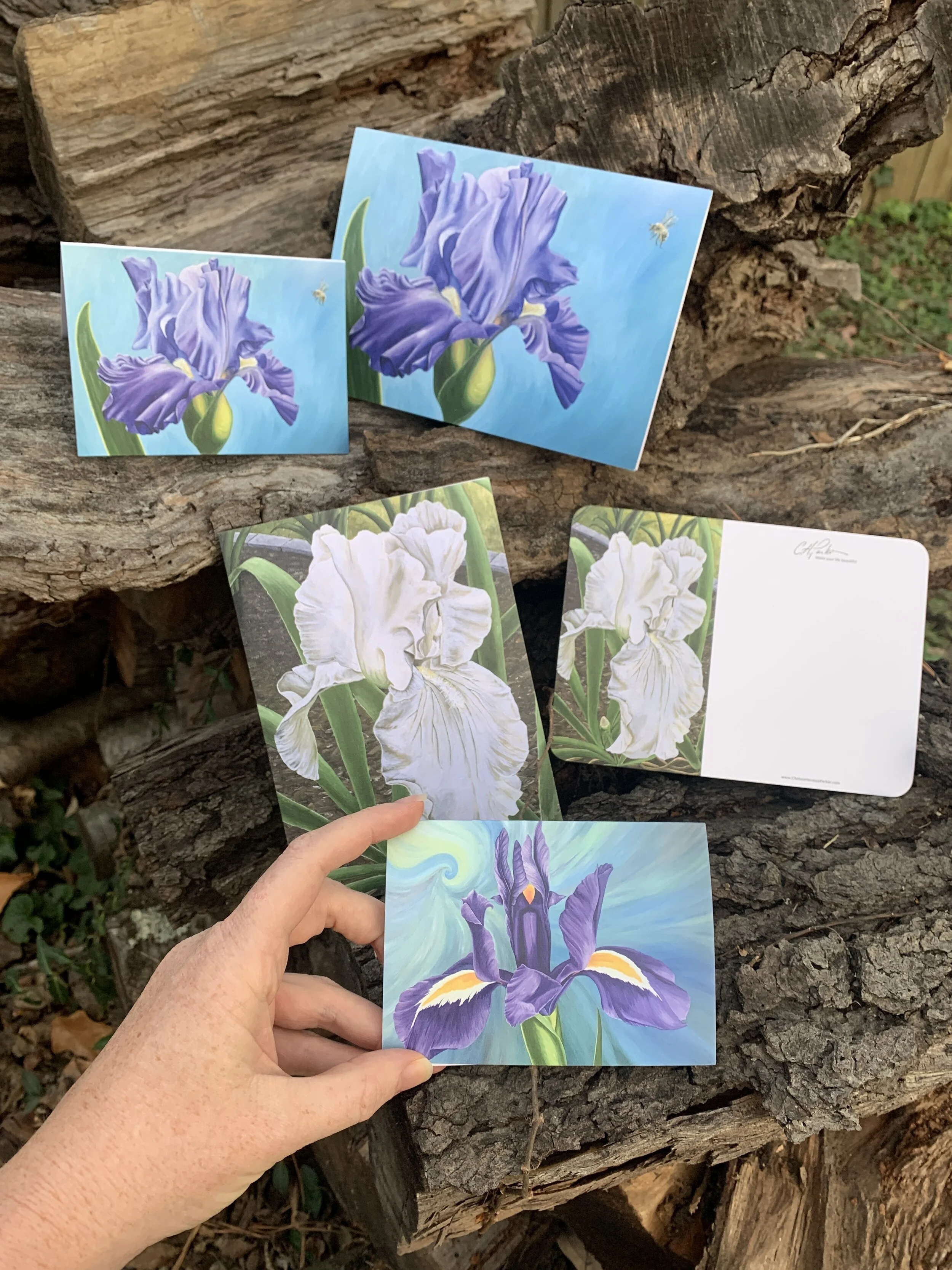 0DEC3815-4823-48EF-8366-E4419F5390D3