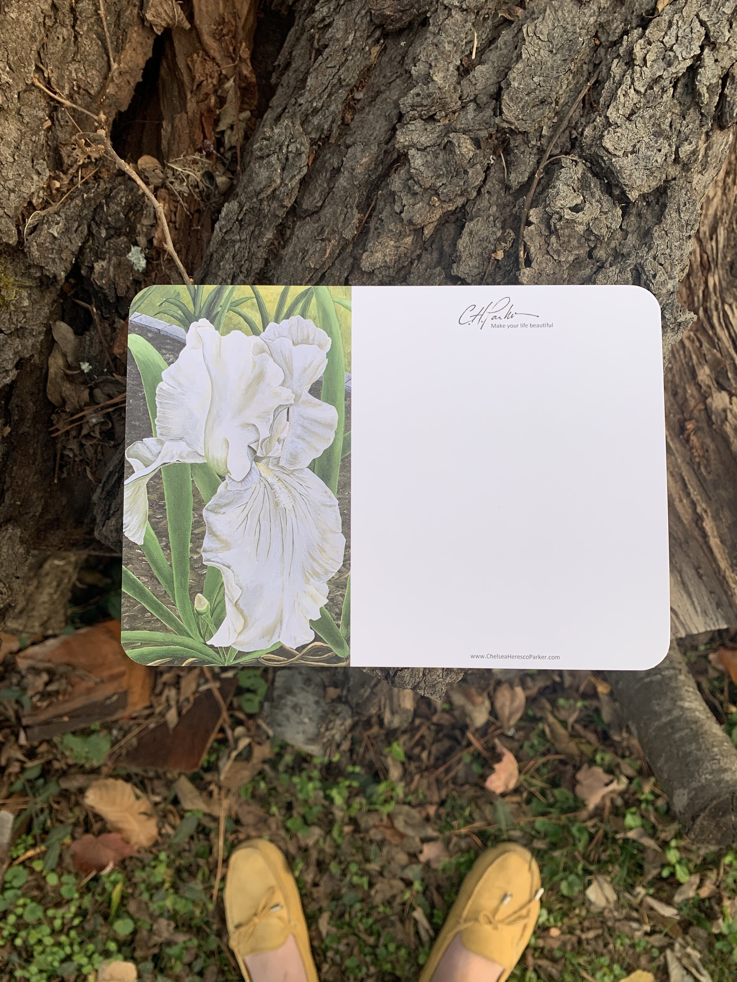 DC65D62D-53F9-4953-AF5E-1921ED297307