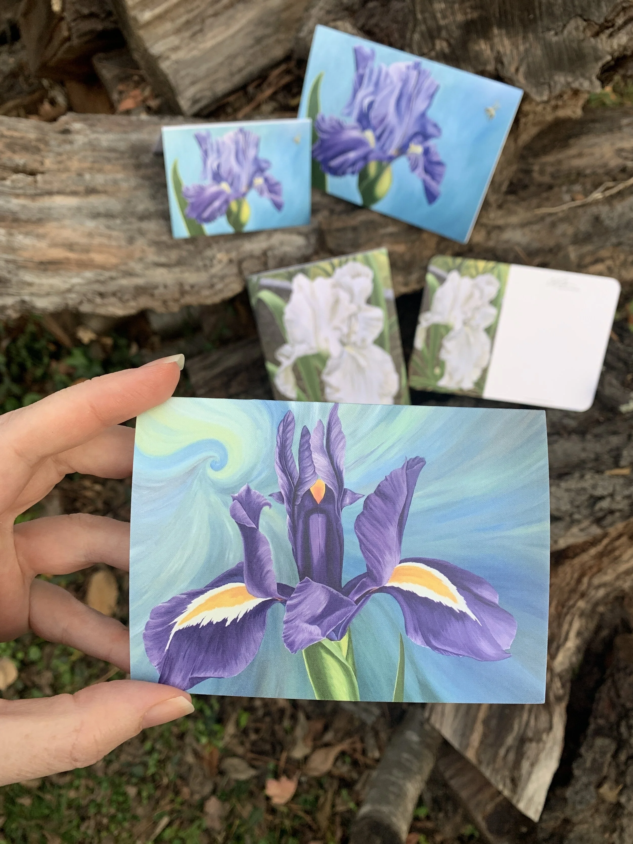 E8D5827B-8C88-414A-8BB5-A76807F54397