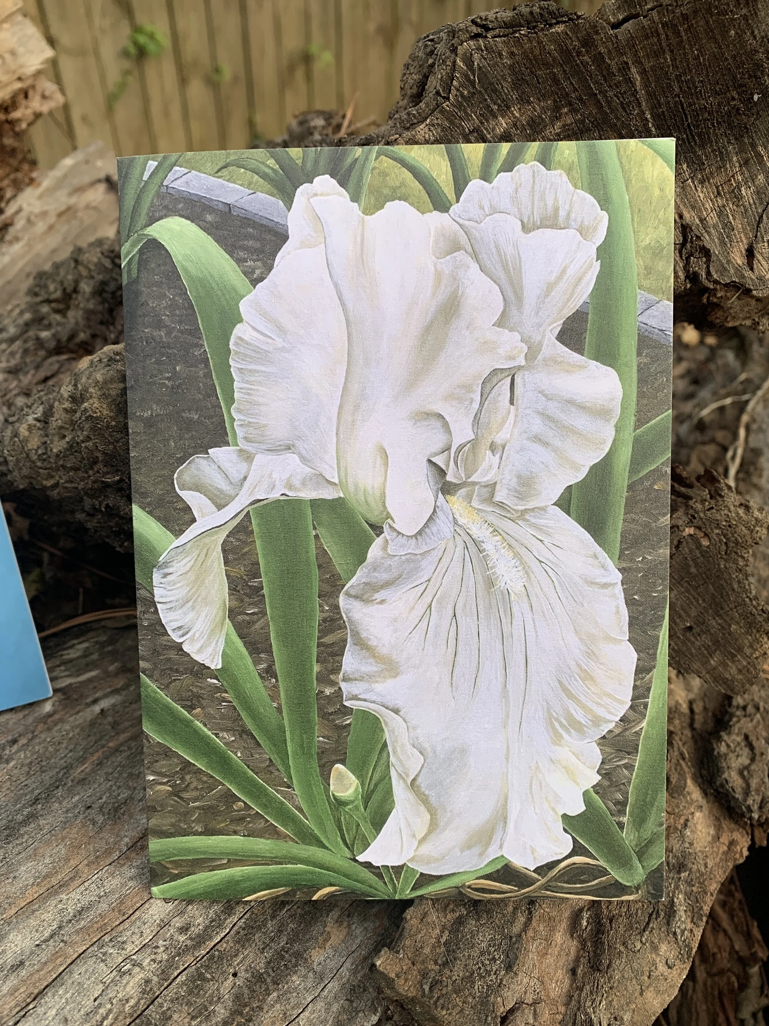 9ED04960-BC17-4EF2-BD17-FDF73D2C12A3